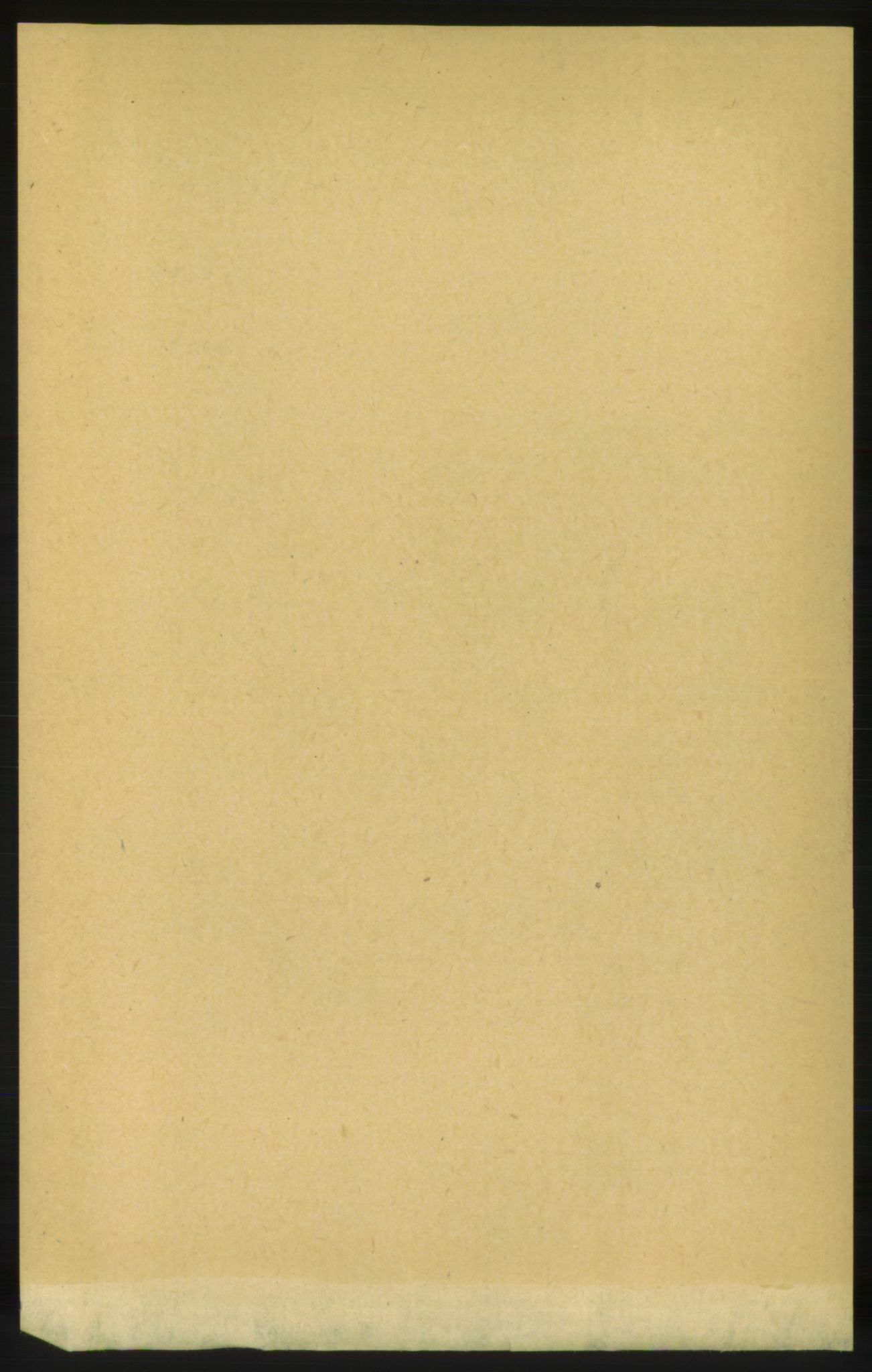 RA, 1891 census for 1566 Surnadal, 1891, p. 3165