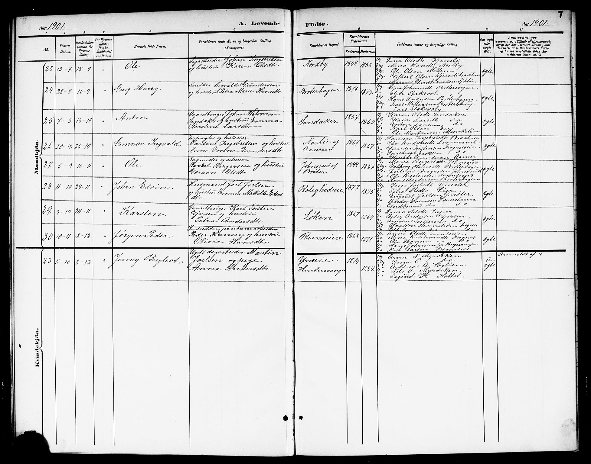 Nes prestekontor Kirkebøker, AV/SAO-A-10410/G/Gc/L0001: Parish register (copy) no. III 1, 1901-1917, p. 7