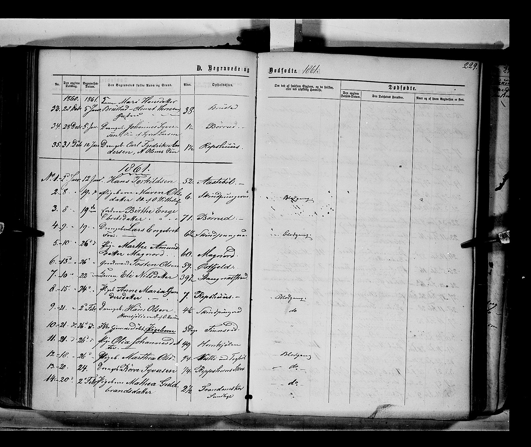 Eidskog prestekontor, AV/SAH-PREST-026/H/Ha/Haa/L0001: Parish register (official) no. 1, 1860-1867, p. 229