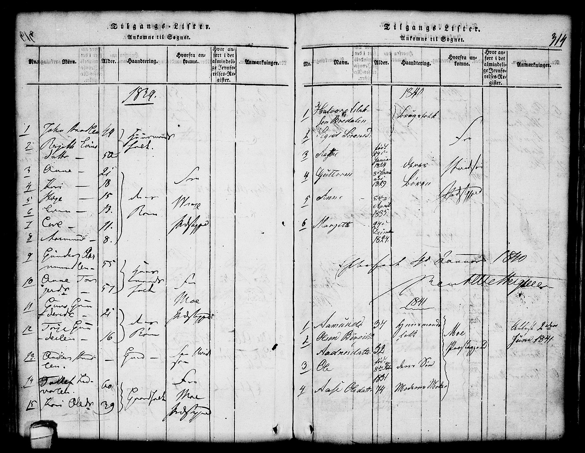 Lårdal kirkebøker, SAKO/A-284/G/Gc/L0001: Parish register (copy) no. III 1, 1815-1854, p. 314