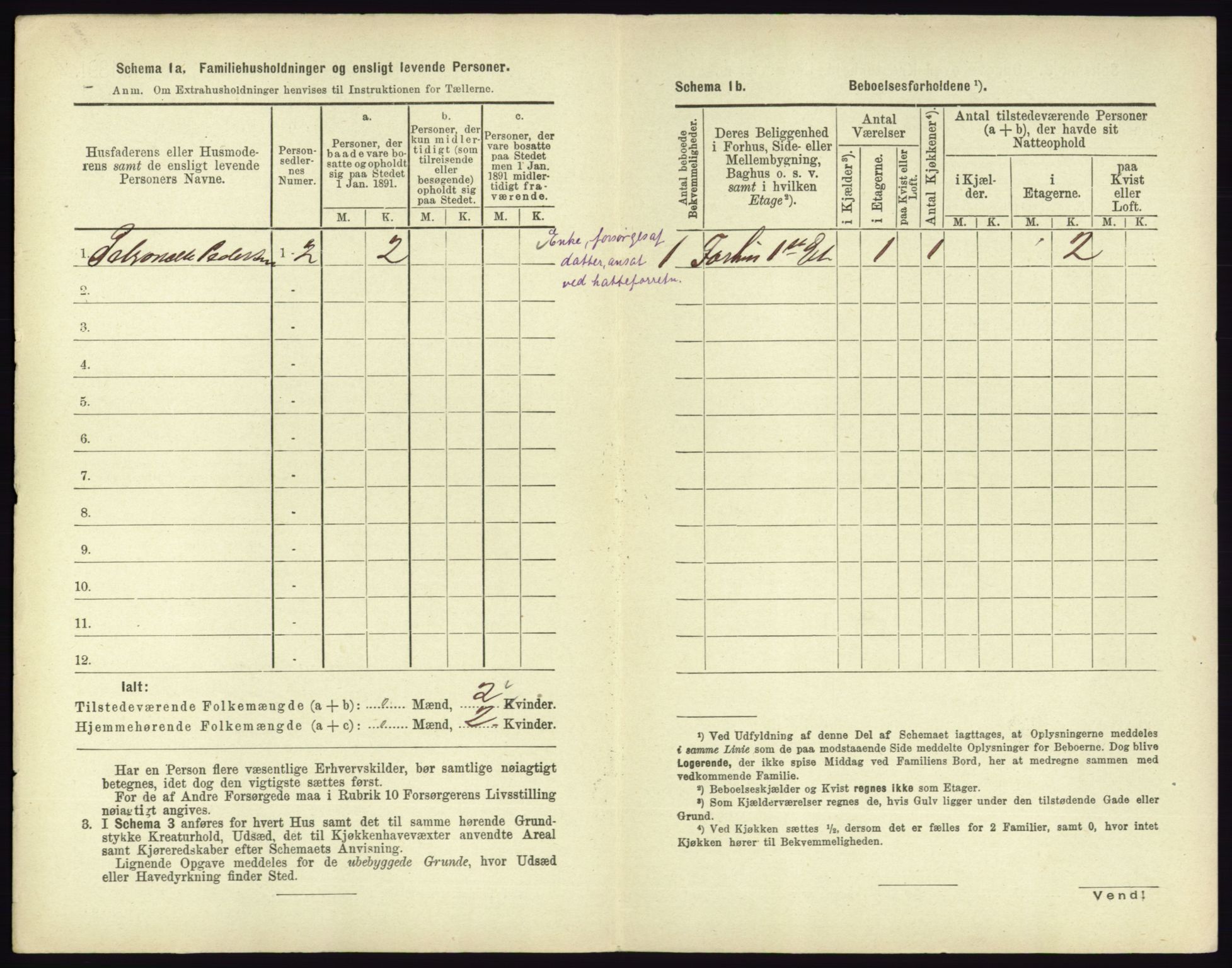 RA, 1891 census for 0602 Drammen, 1891, p. 3396