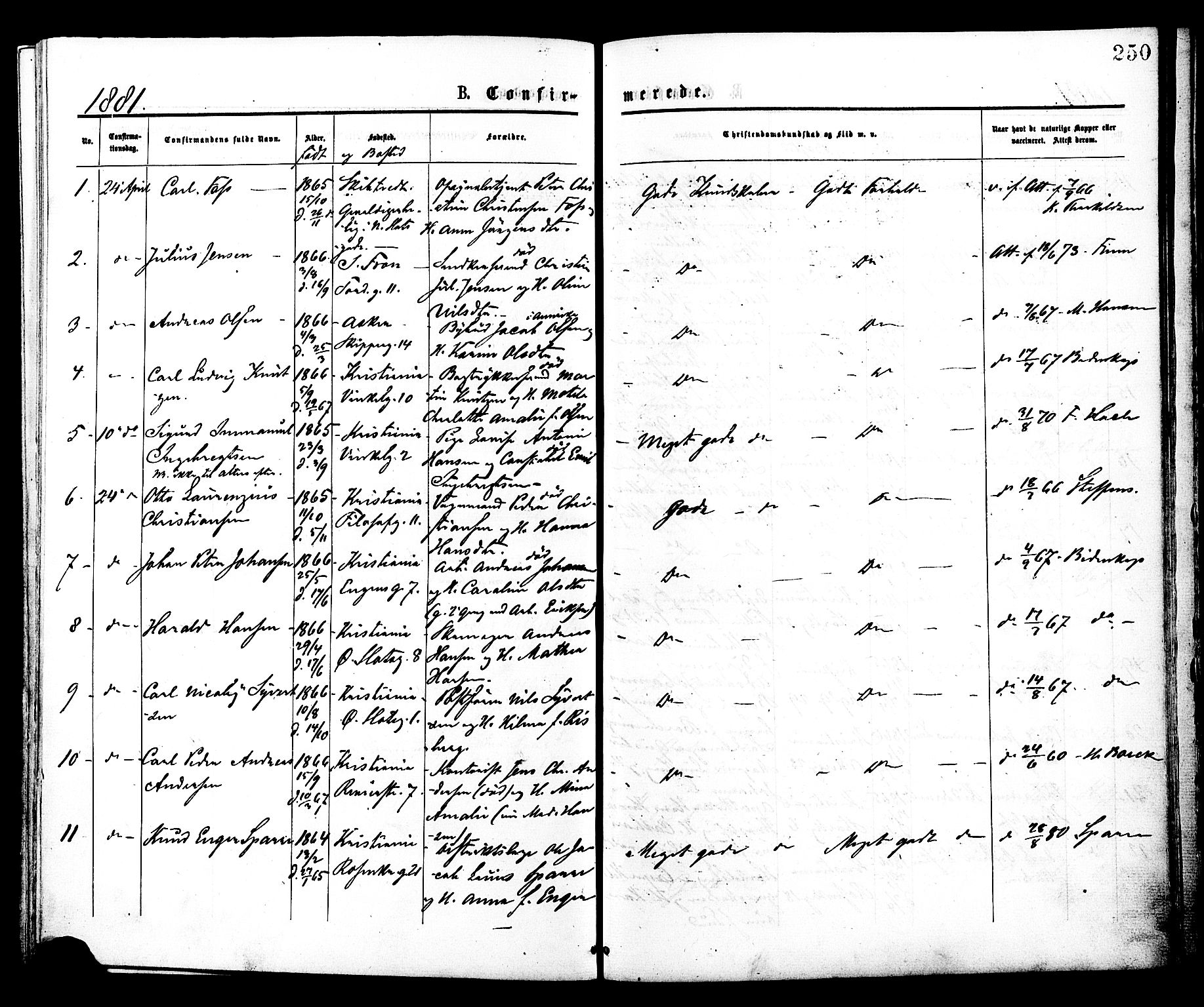 Johannes prestekontor Kirkebøker, SAO/A-10852/F/Fa/L0001: Parish register (official) no. 1, 1875-1881, p. 250