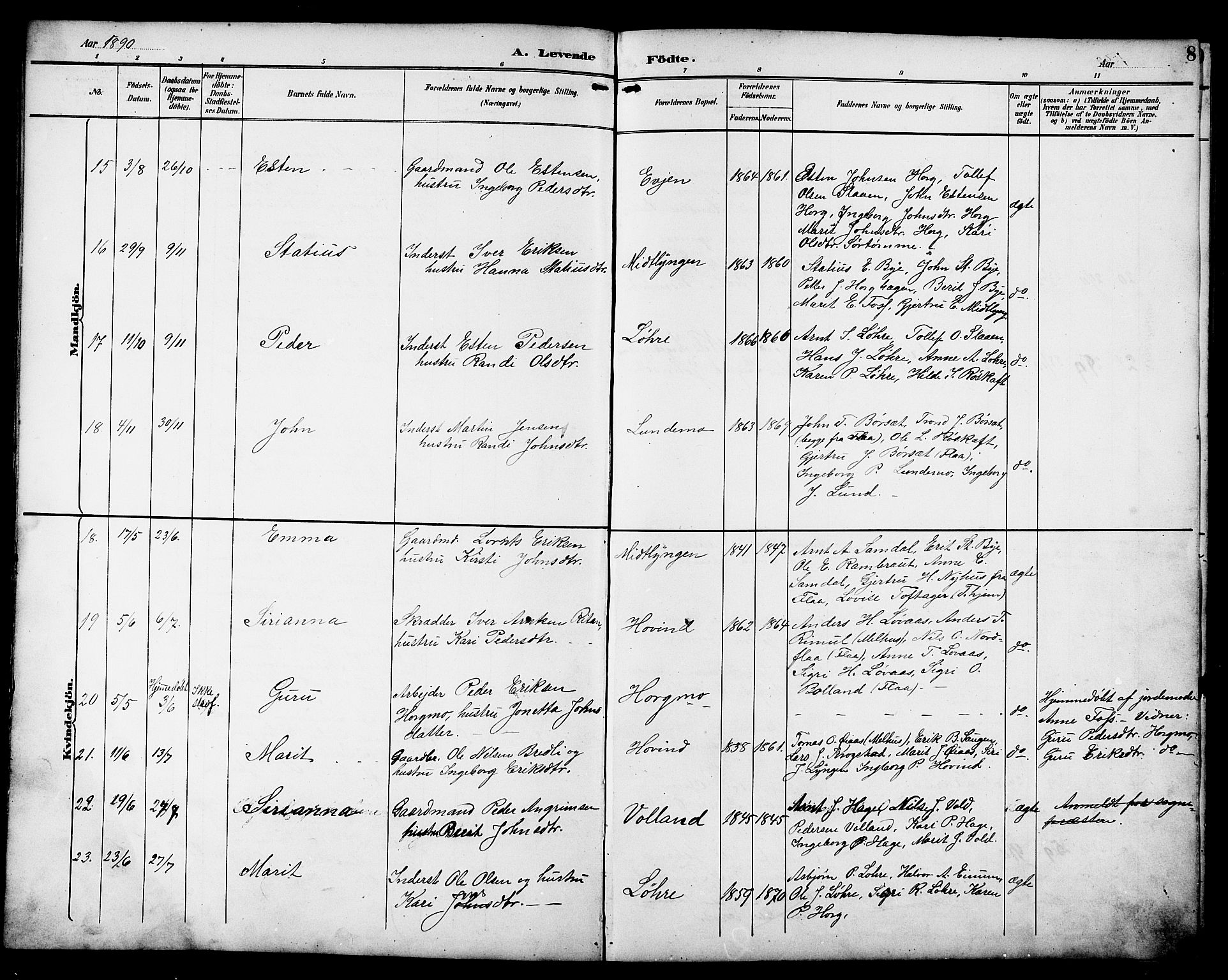 Ministerialprotokoller, klokkerbøker og fødselsregistre - Sør-Trøndelag, AV/SAT-A-1456/692/L1111: Parish register (copy) no. 692C06, 1890-1904, p. 8