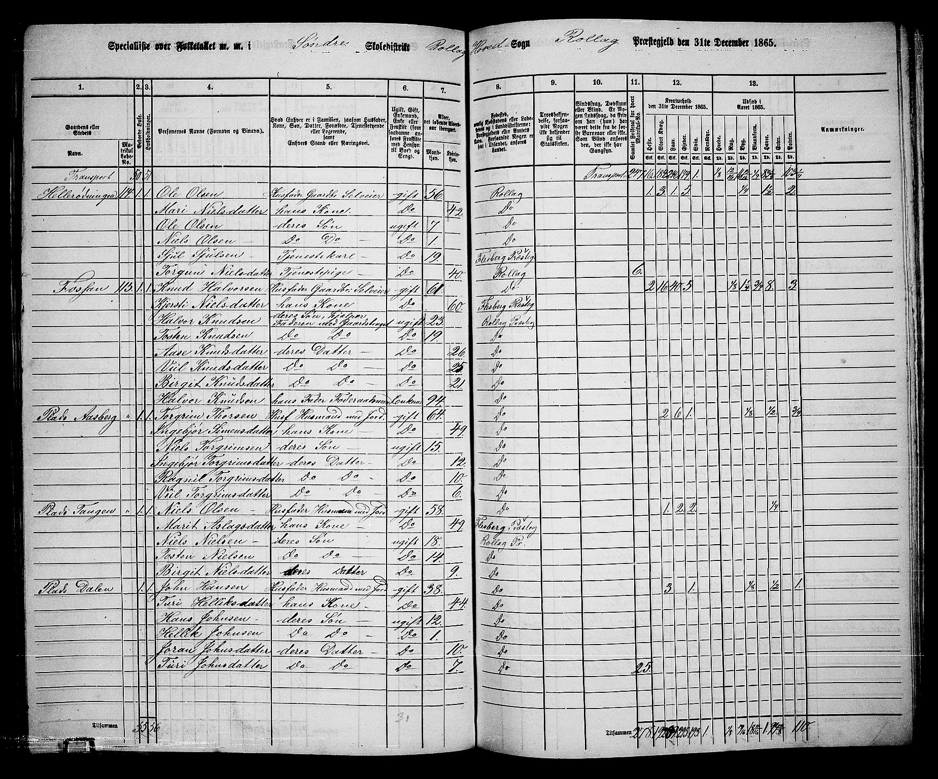 RA, 1865 census for Rollag, 1865, p. 15