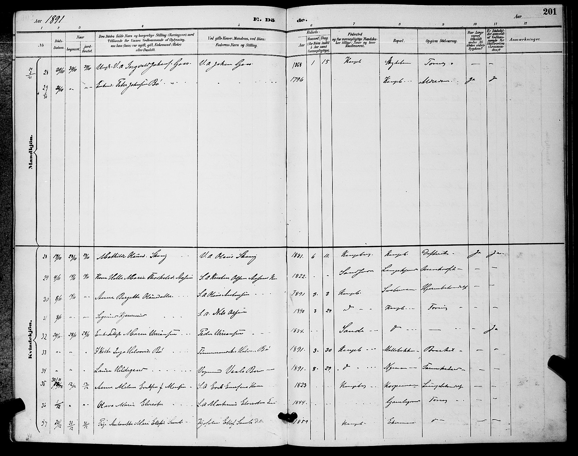 Kongsberg kirkebøker, AV/SAKO-A-22/G/Ga/L0006: Parish register (copy) no. 6, 1890-1901, p. 201