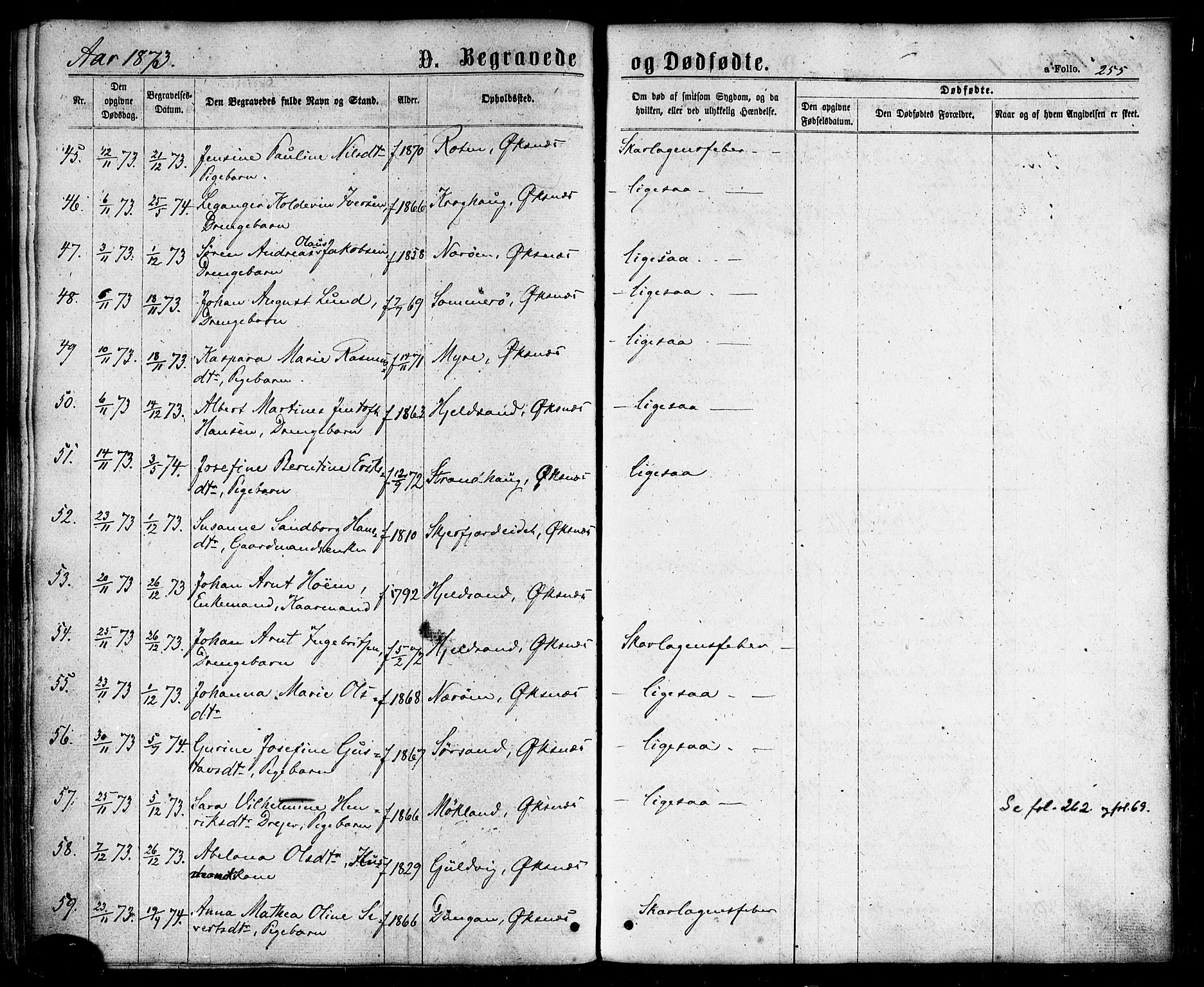 Ministerialprotokoller, klokkerbøker og fødselsregistre - Nordland, AV/SAT-A-1459/893/L1334: Parish register (official) no. 893A07, 1867-1877, p. 255