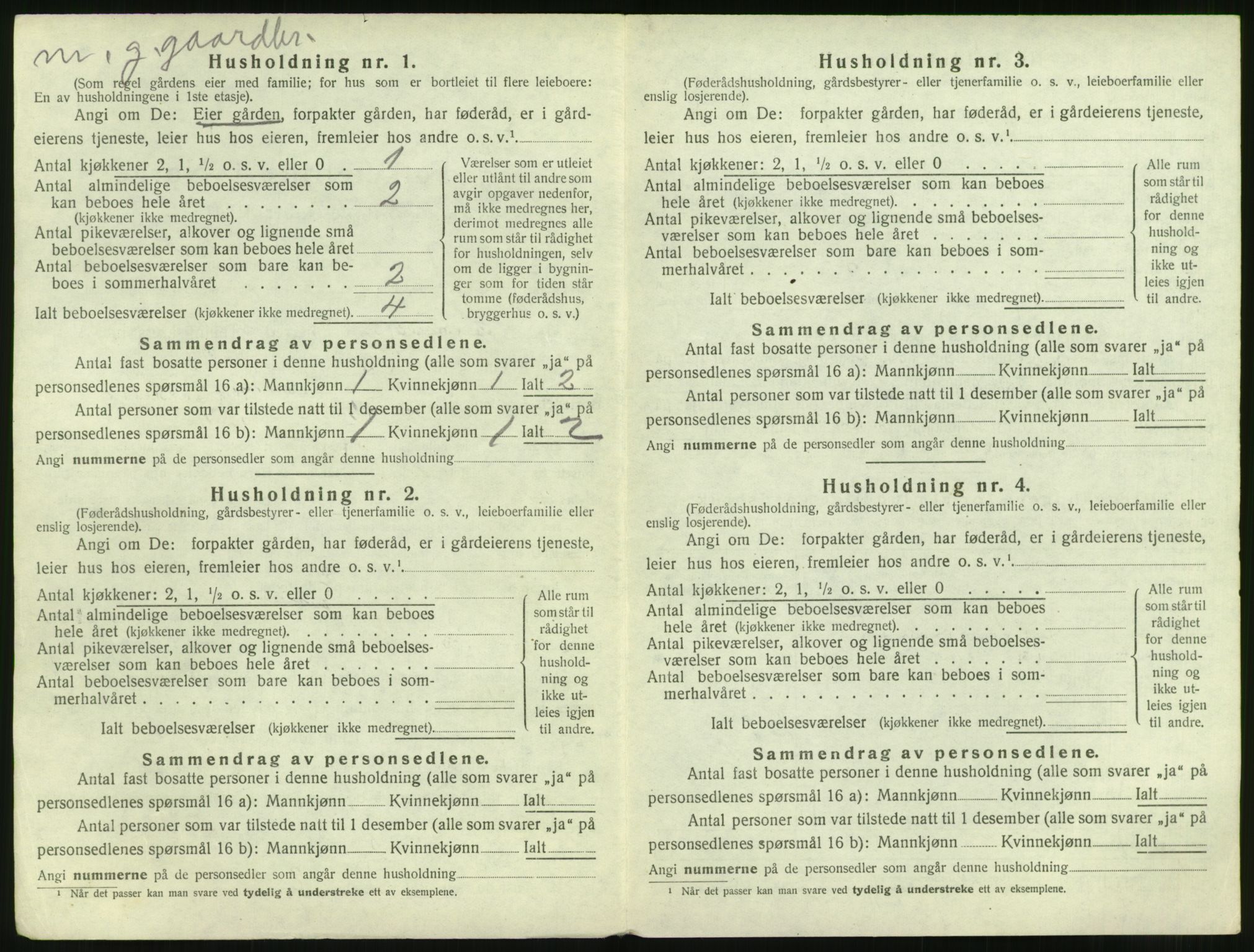 SAT, 1920 census for Vatne, 1920, p. 293