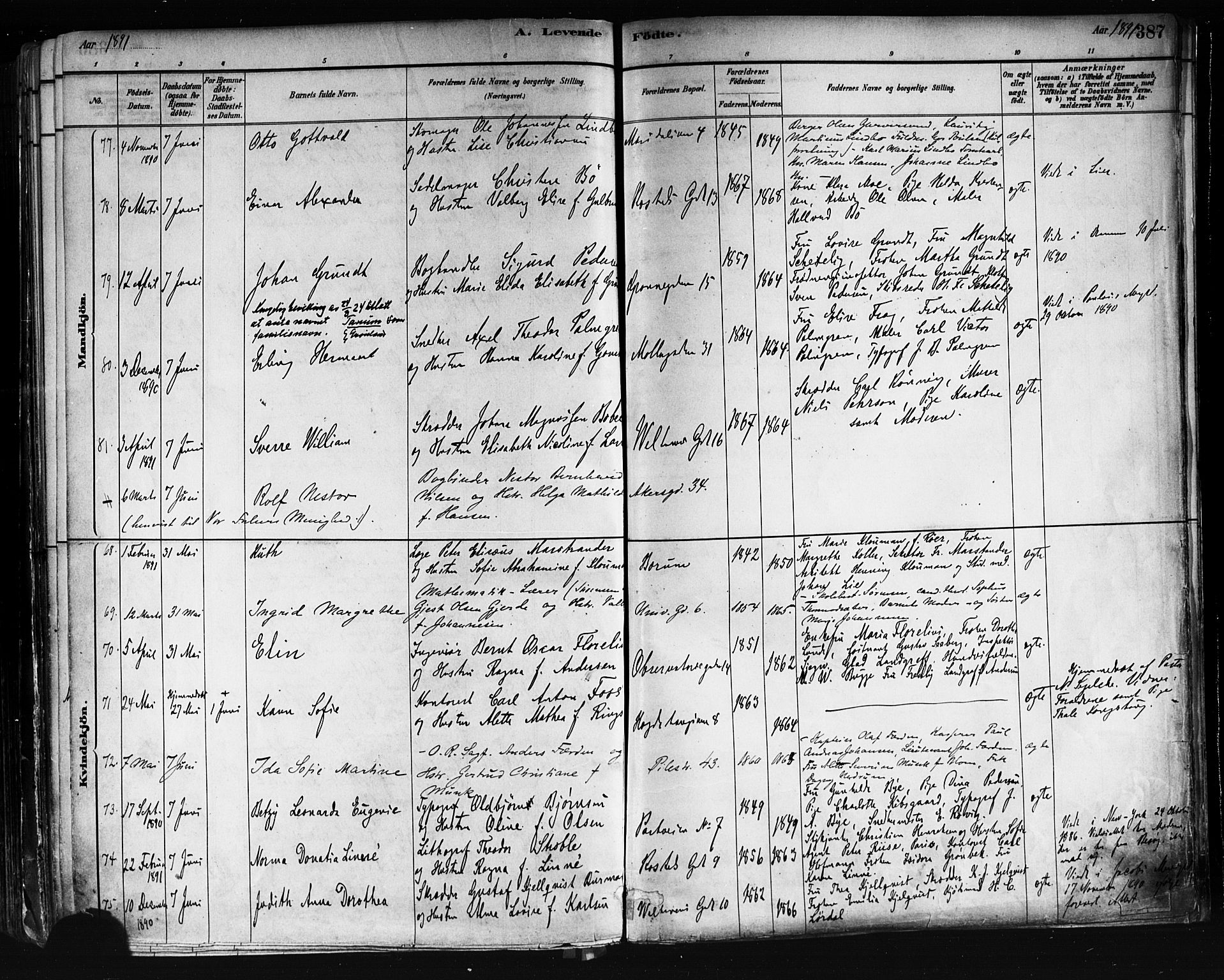 Trefoldighet prestekontor Kirkebøker, AV/SAO-A-10882/F/Fa/L0005: Parish register (official) no. I 5, 1881-1891, p. 387