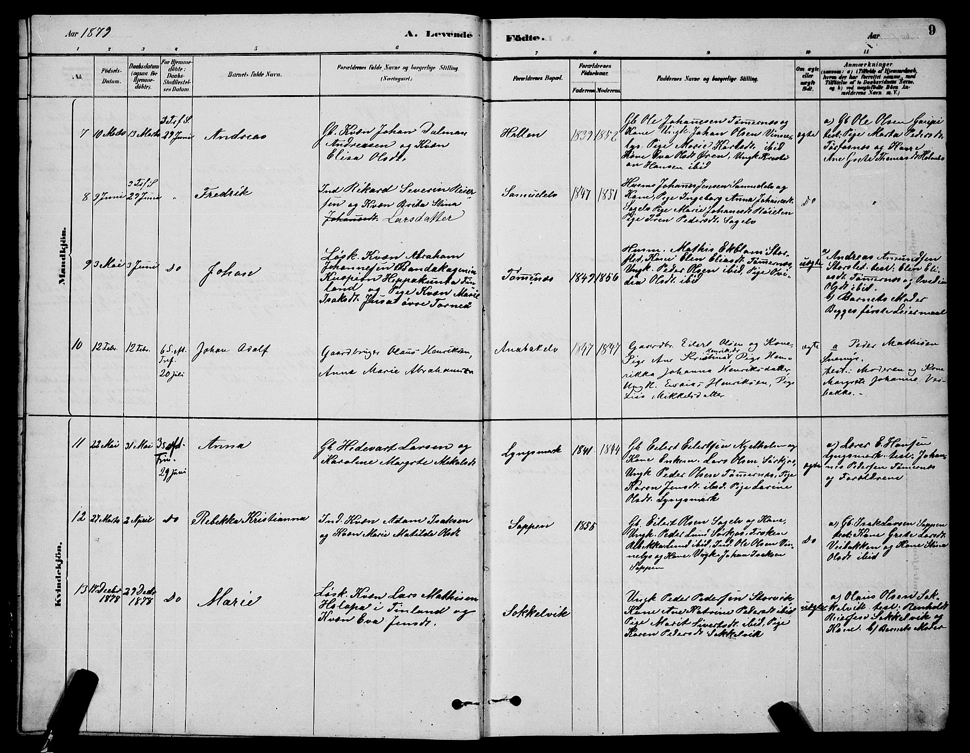 Skjervøy sokneprestkontor, AV/SATØ-S-1300/H/Ha/Hab/L0020klokker: Parish register (copy) no. 20, 1878-1892, p. 9