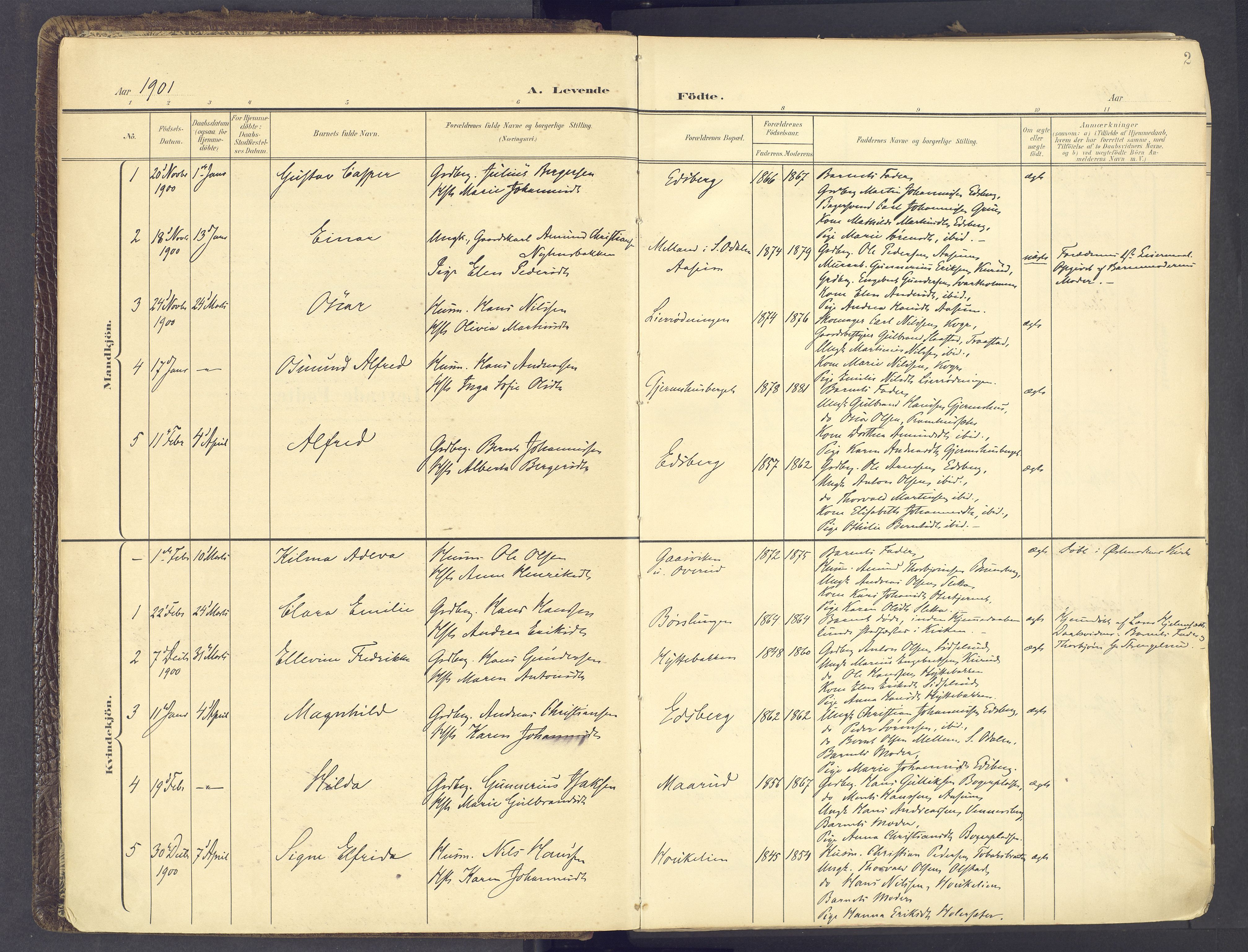 Vinger prestekontor, AV/SAH-PREST-024/H/Ha/Haa/L0017: Parish register (official) no. 17, 1901-1927, p. 2