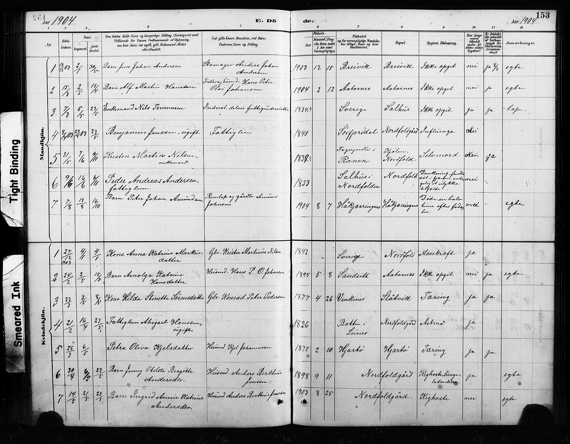 Ministerialprotokoller, klokkerbøker og fødselsregistre - Nordland, AV/SAT-A-1459/858/L0834: Parish register (copy) no. 858C01, 1884-1904, p. 153