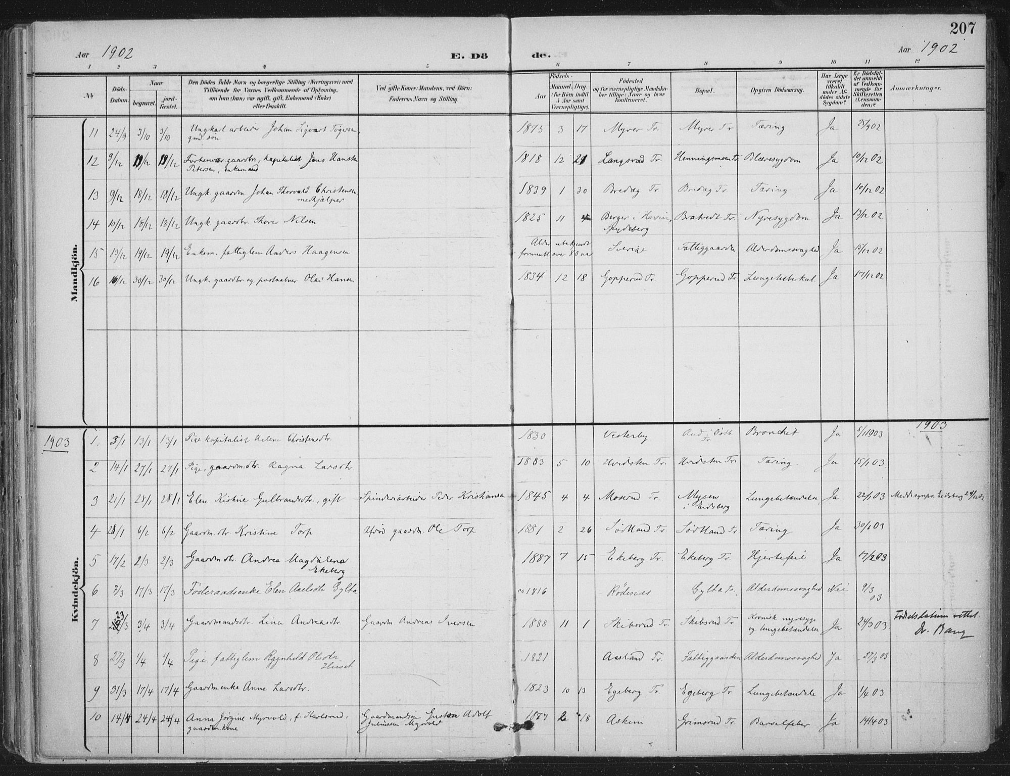 Trøgstad prestekontor Kirkebøker, AV/SAO-A-10925/F/Fa/L0011: Parish register (official) no. I 11, 1899-1919, p. 207