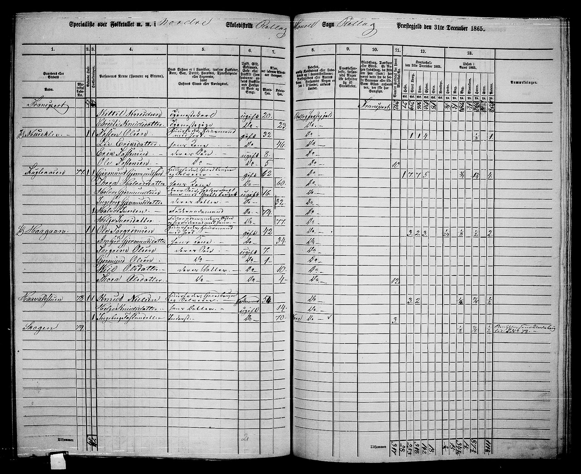 RA, 1865 census for Rollag, 1865, p. 49