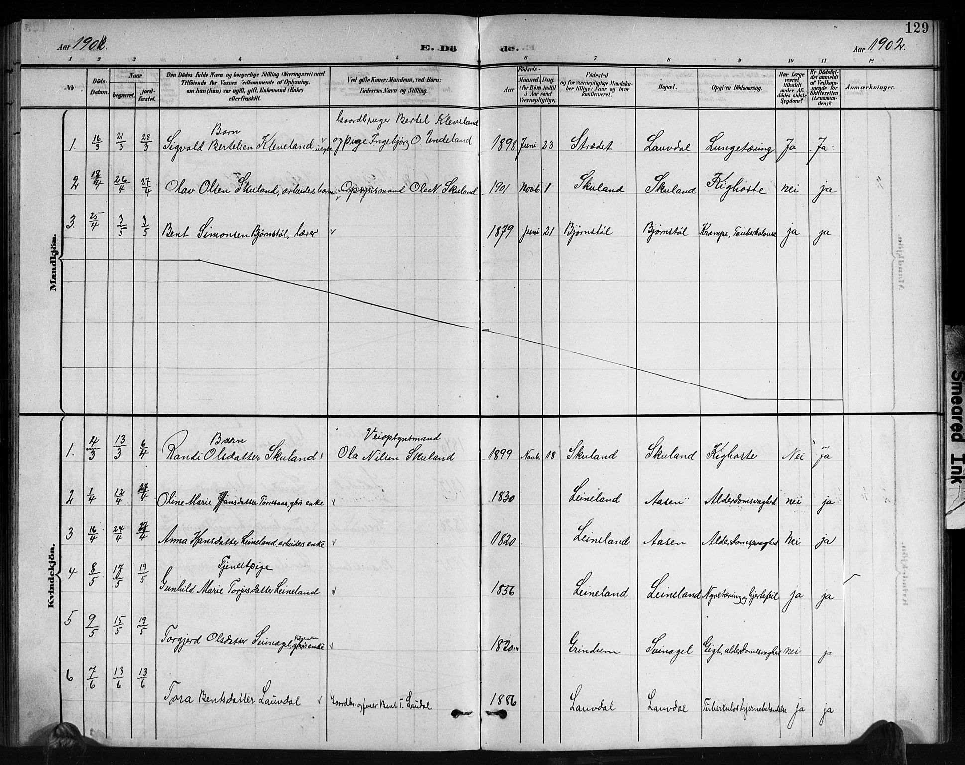 Holum sokneprestkontor, SAK/1111-0022/F/Fb/Fbb/L0004: Parish register (copy) no. B 4, 1899-1920, p. 129