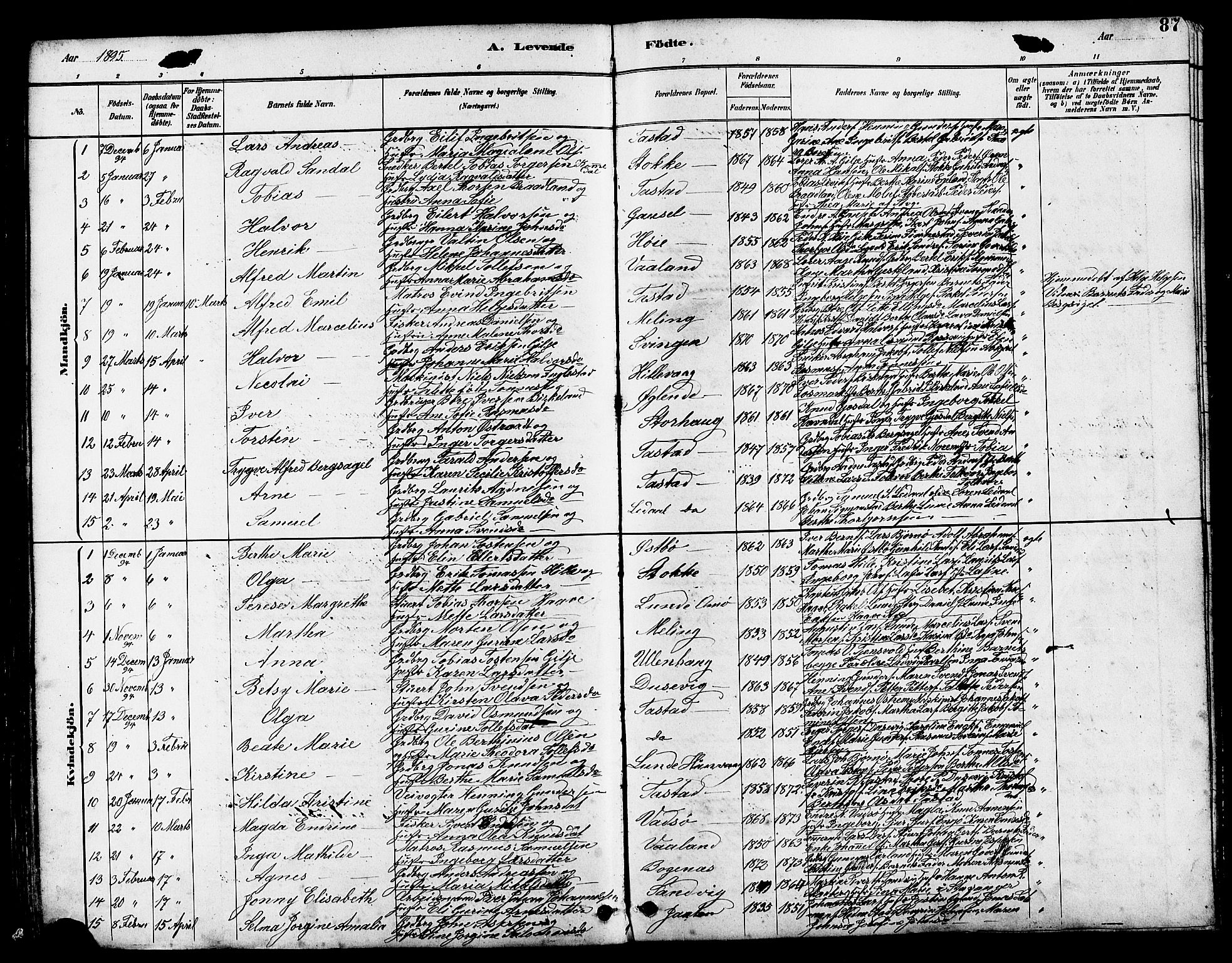 Hetland sokneprestkontor, SAST/A-101826/30/30BB/L0005: Parish register (copy) no. B 5, 1878-1910, p. 87