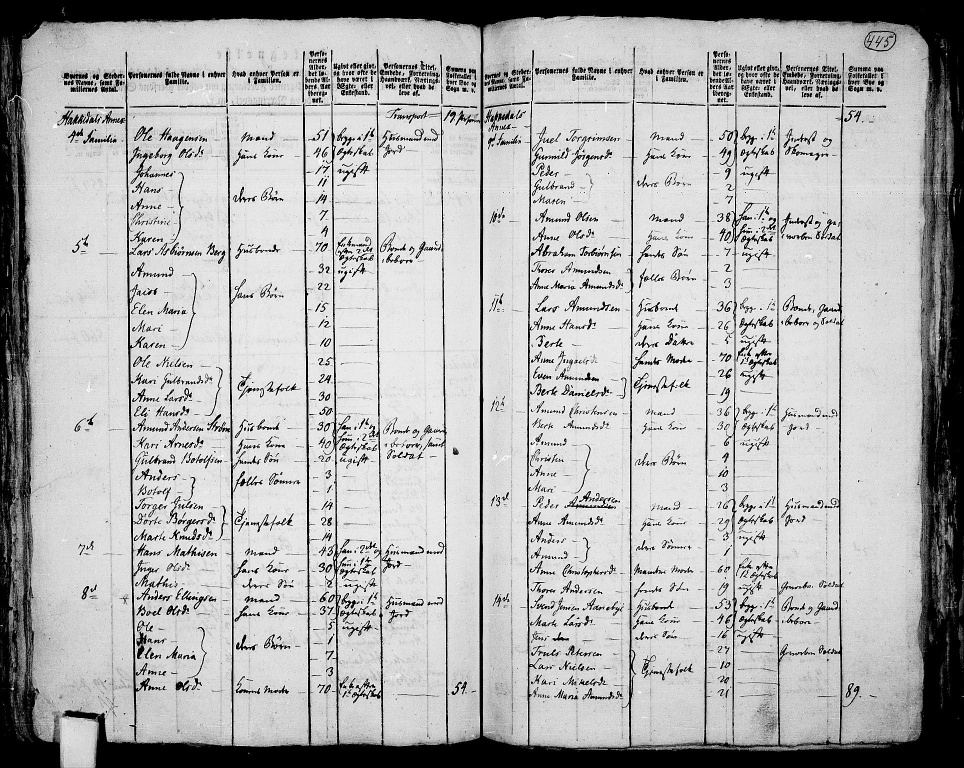 RA, 1801 census for 0233P Nittedal, 1801, p. 444b-445a