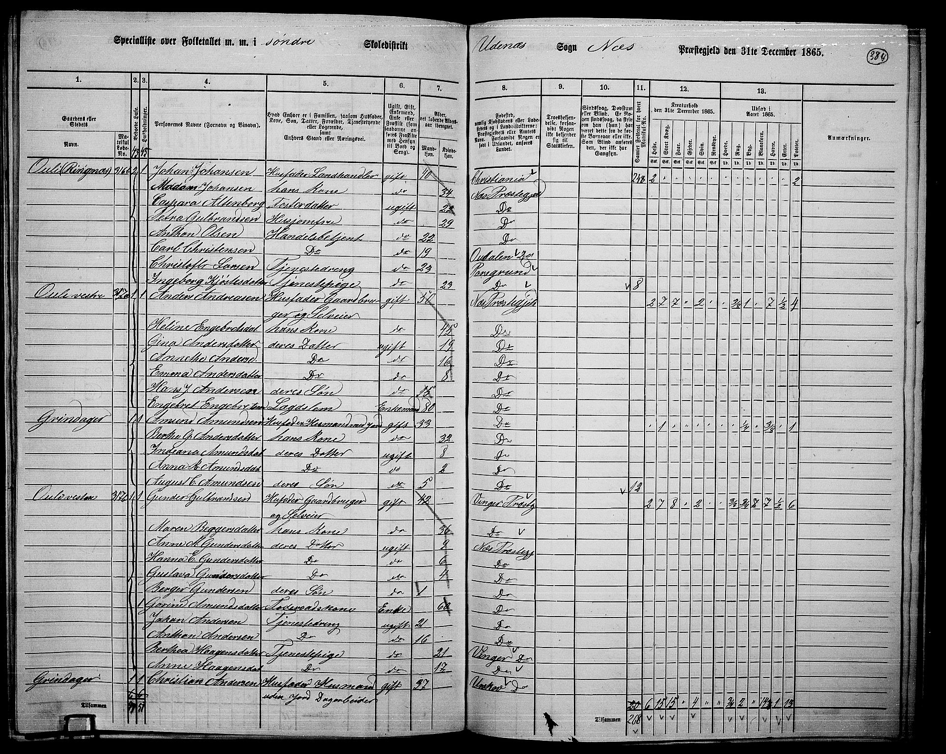 RA, 1865 census for Nes, 1865, p. 350