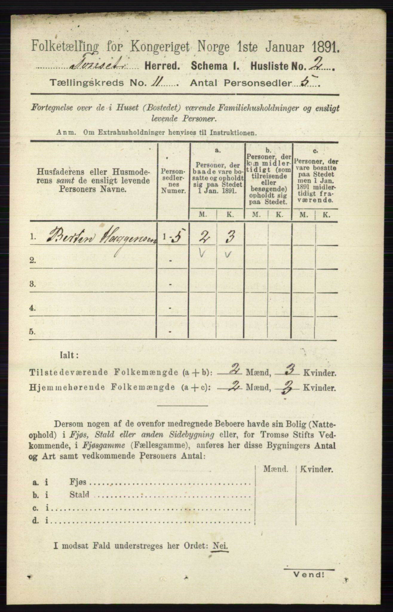 RA, 1891 census for 0437 Tynset, 1891, p. 2985