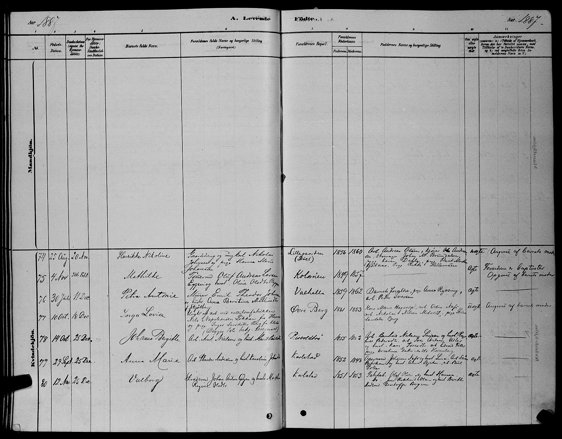 Ministerialprotokoller, klokkerbøker og fødselsregistre - Sør-Trøndelag, AV/SAT-A-1456/606/L0312: Parish register (copy) no. 606C08, 1878-1894