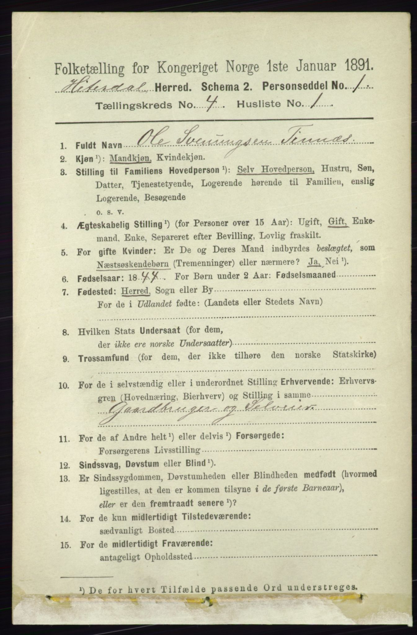 RA, 1891 census for 0823 Heddal, 1891, p. 1672