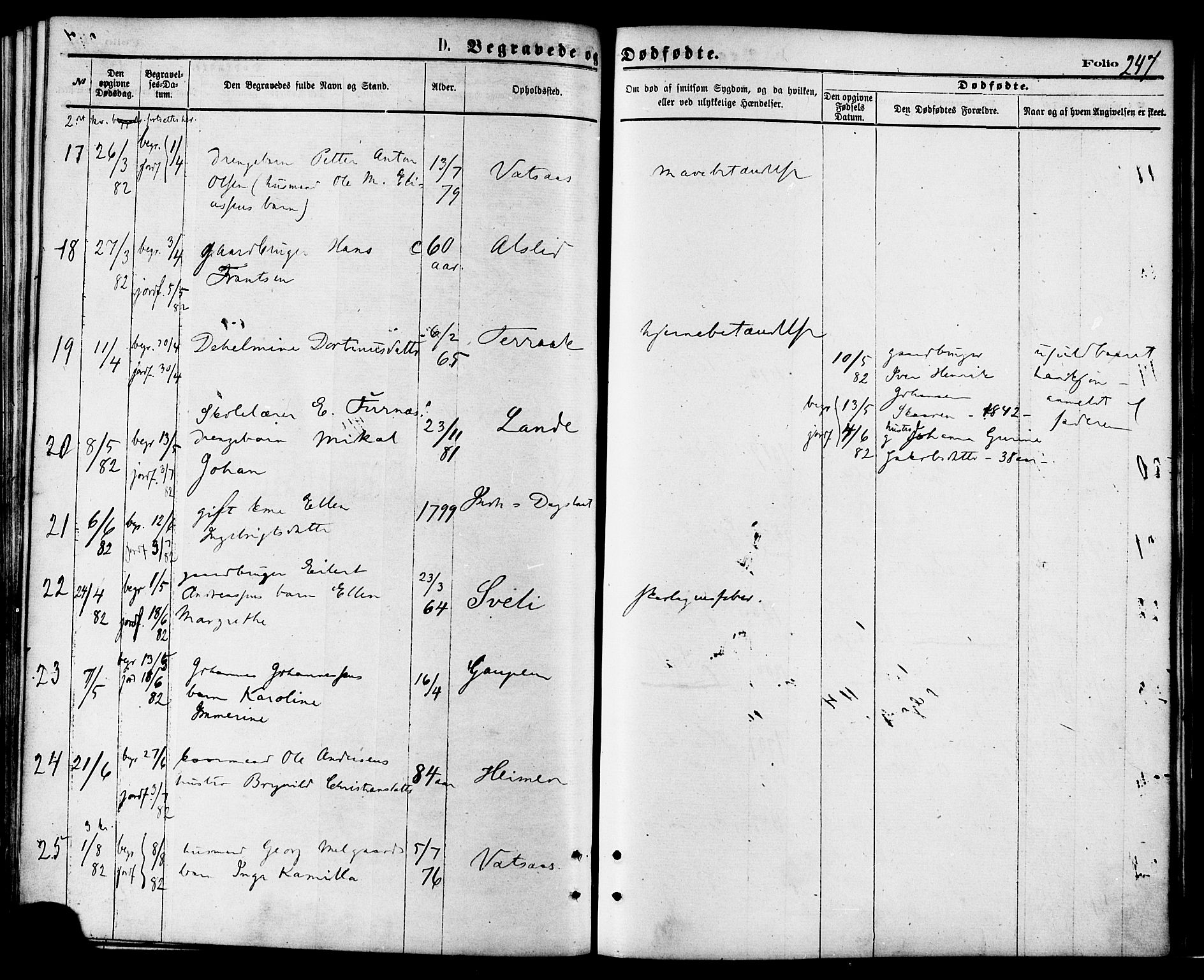 Ministerialprotokoller, klokkerbøker og fødselsregistre - Nordland, AV/SAT-A-1459/810/L0148: Parish register (official) no. 810A09 /1, 1874-1884, p. 247