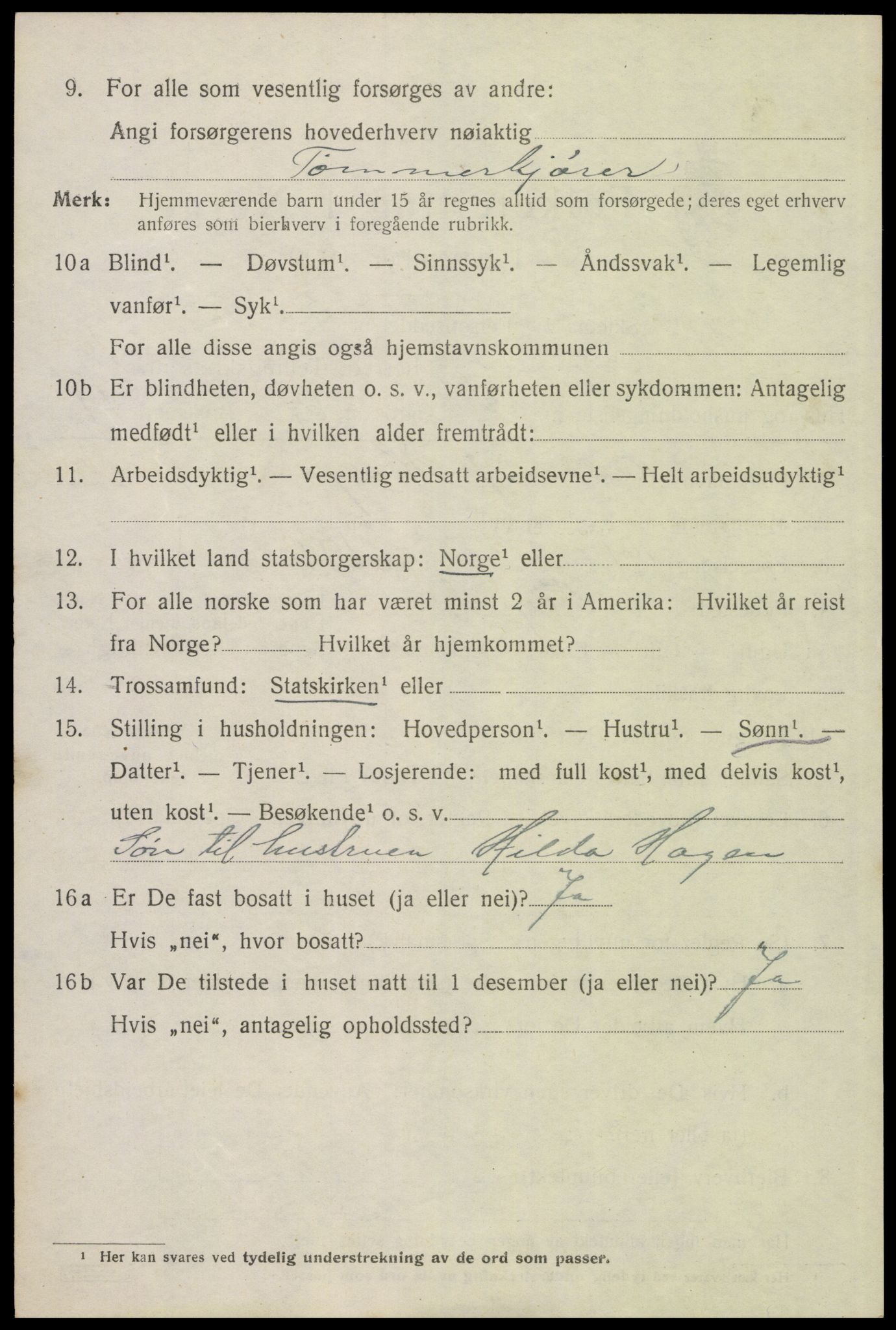 SAH, 1920 census for Trysil, 1920, p. 12582