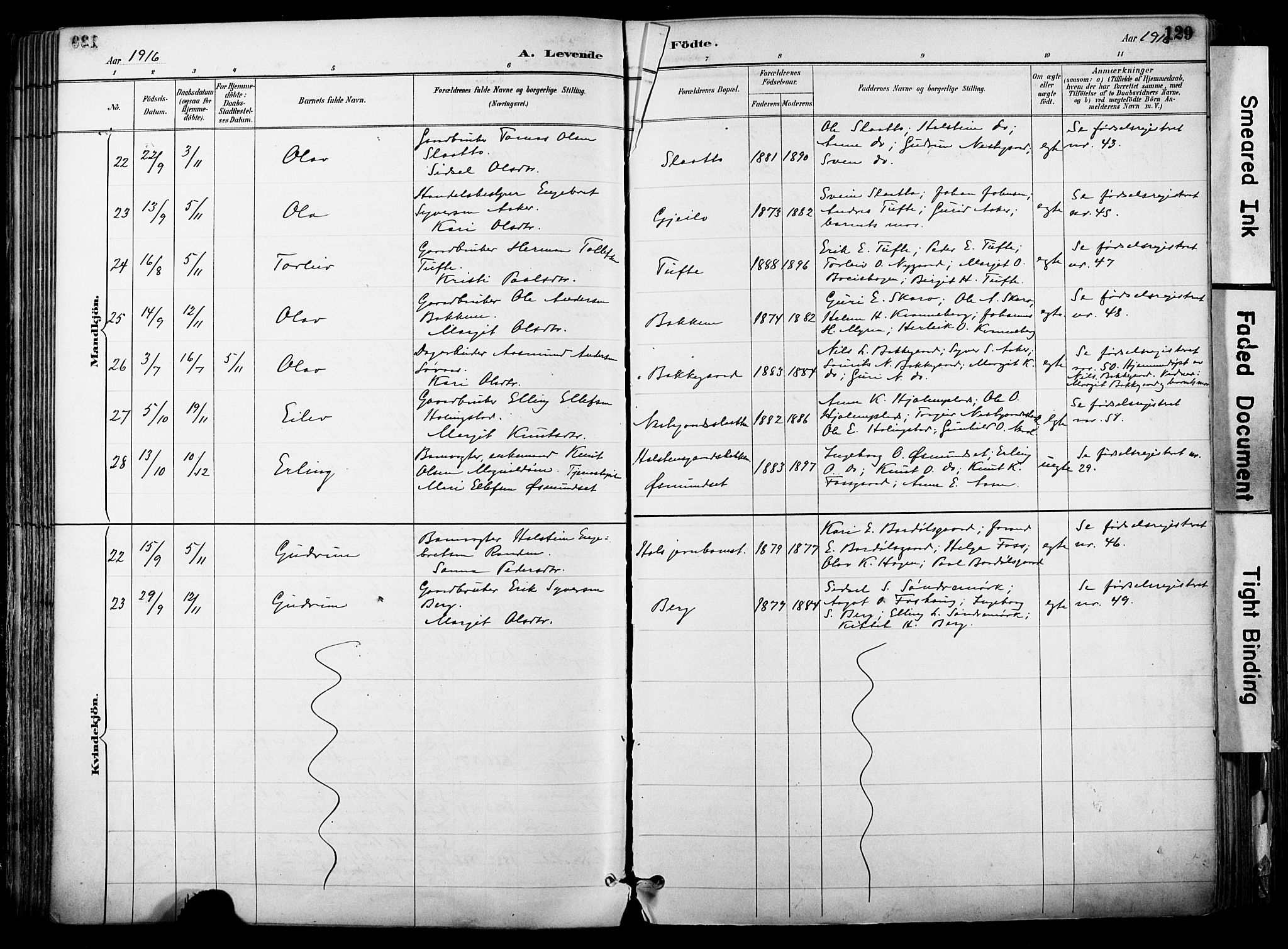 Hol kirkebøker, AV/SAKO-A-227/F/Fa/L0003: Parish register (official) no. I 3, 1887-1918, p. 129