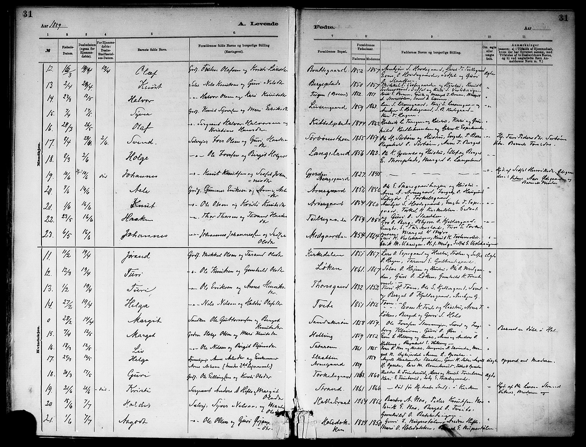 Ål kirkebøker, SAKO/A-249/F/Fa/L0008: Parish register (official) no. I 8, 1882-1896, p. 31