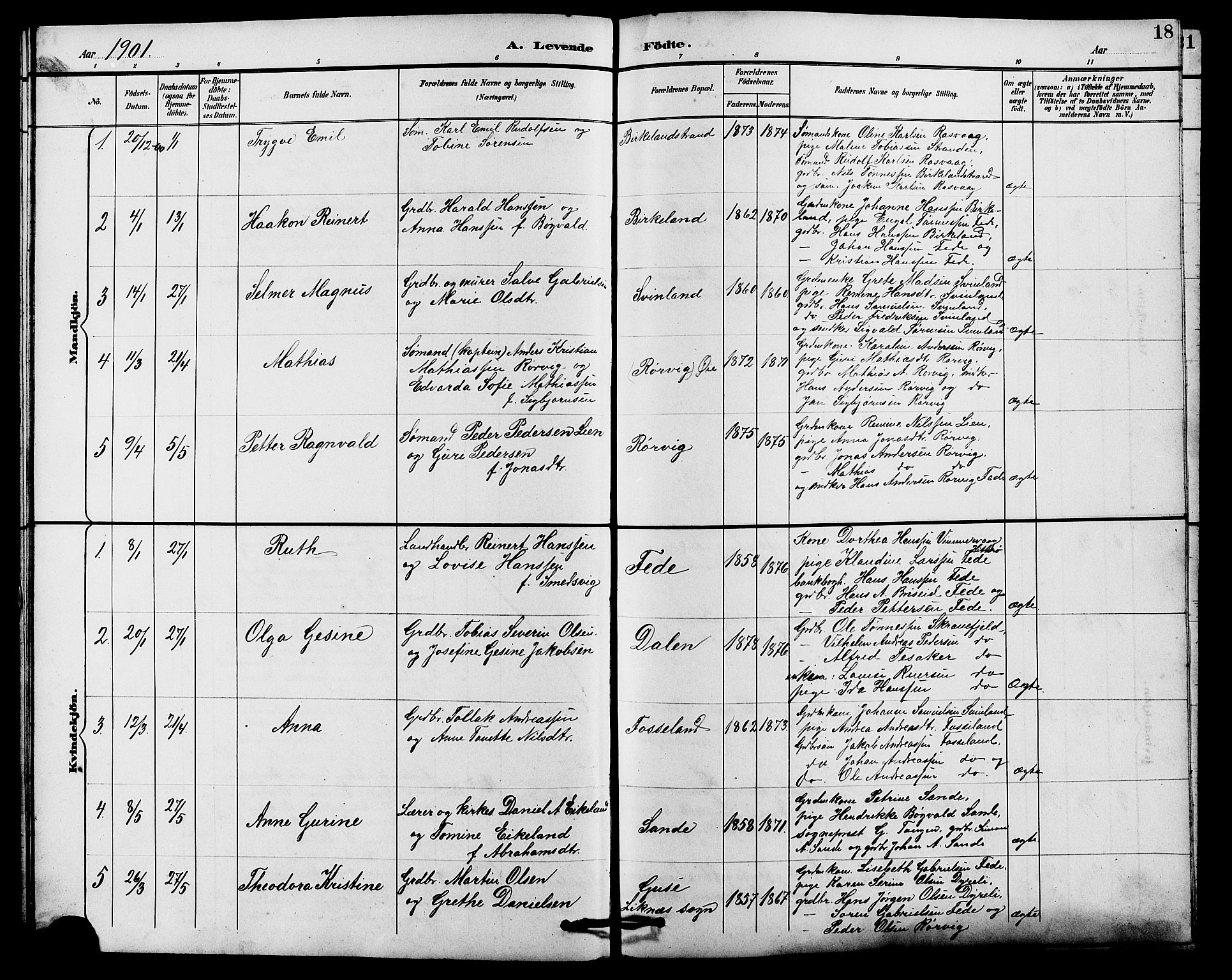 Kvinesdal sokneprestkontor, SAK/1111-0026/F/Fb/Fba/L0004: Parish register (copy) no. B 4, 1894-1909, p. 18