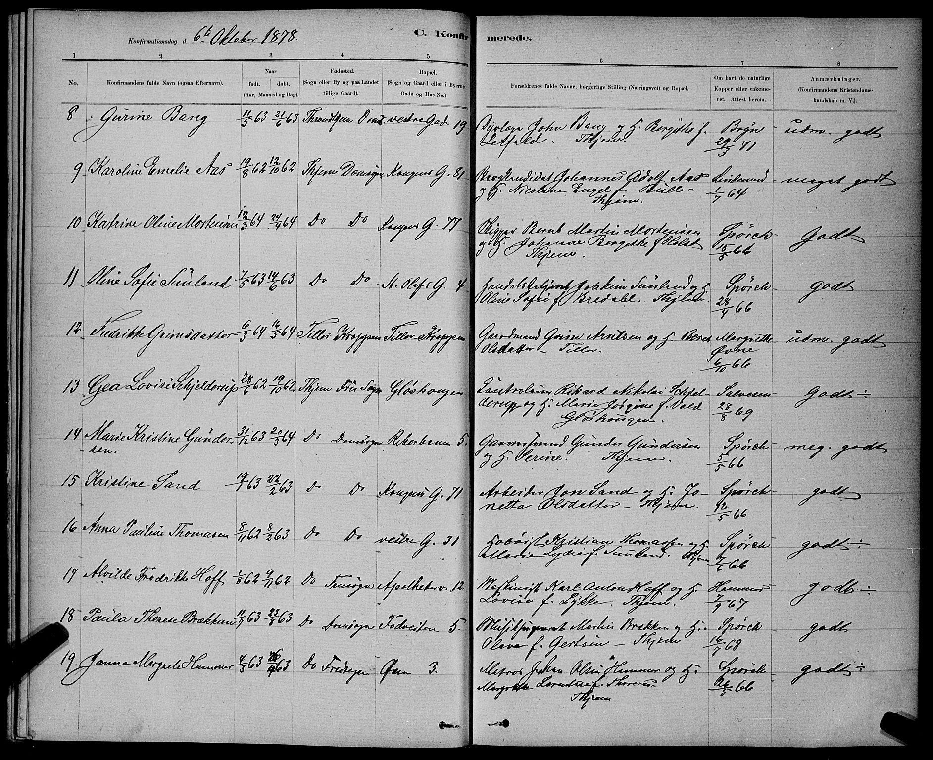 Ministerialprotokoller, klokkerbøker og fødselsregistre - Sør-Trøndelag, AV/SAT-A-1456/601/L0091: Parish register (copy) no. 601C09, 1878-1883