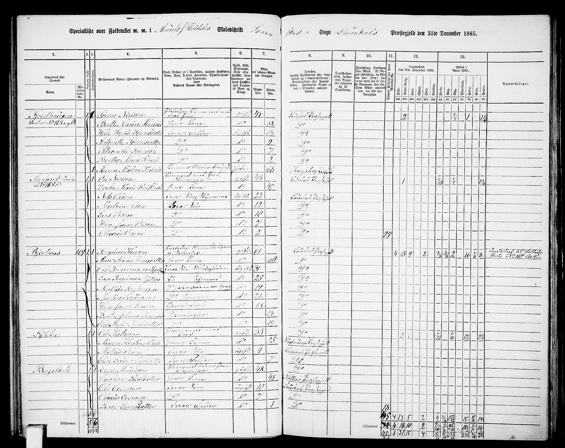 RA, 1865 census for Lardal, 1865, p. 51