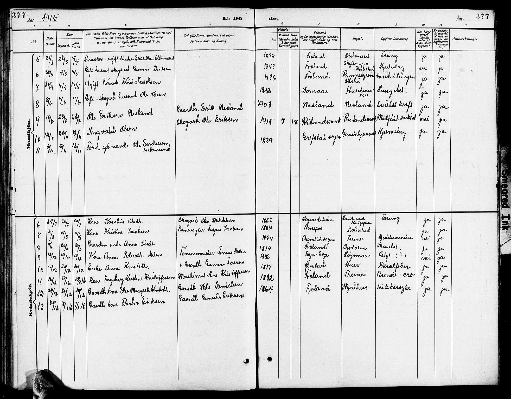 Froland sokneprestkontor, AV/SAK-1111-0013/F/Fb/L0010: Parish register (copy) no. B 10, 1893-1920, p. 377