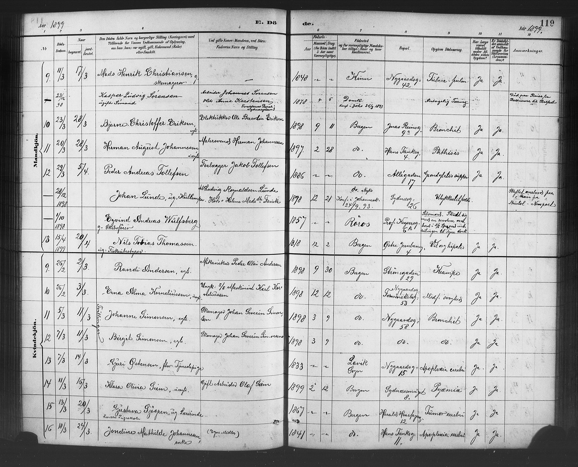 Johanneskirken sokneprestembete, AV/SAB-A-76001/H/Hab: Parish register (copy) no. D 1, 1885-1915, p. 119