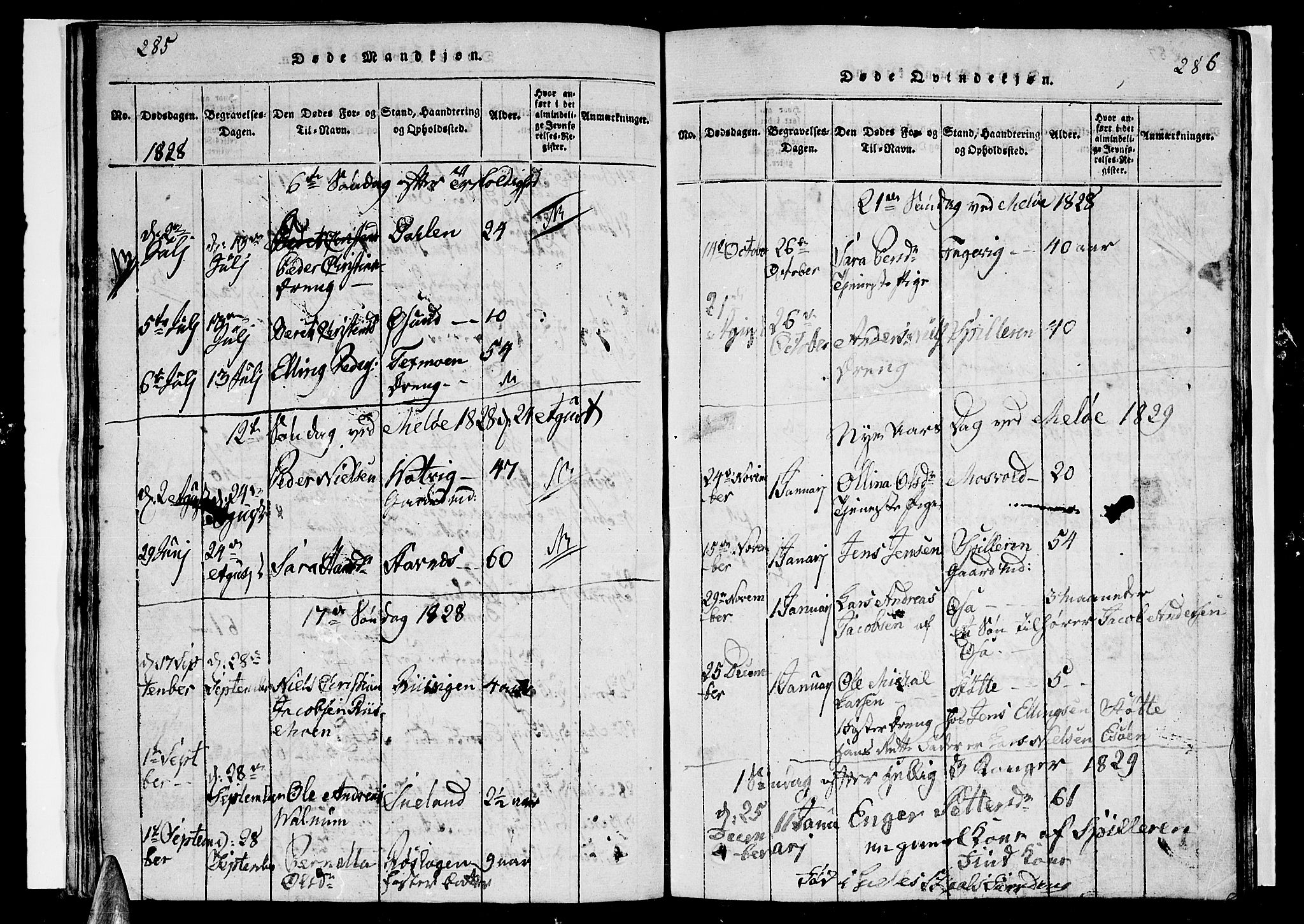 Ministerialprotokoller, klokkerbøker og fødselsregistre - Nordland, AV/SAT-A-1459/841/L0617: Parish register (copy) no. 841C01 /2, 1820-1830, p. 285-286