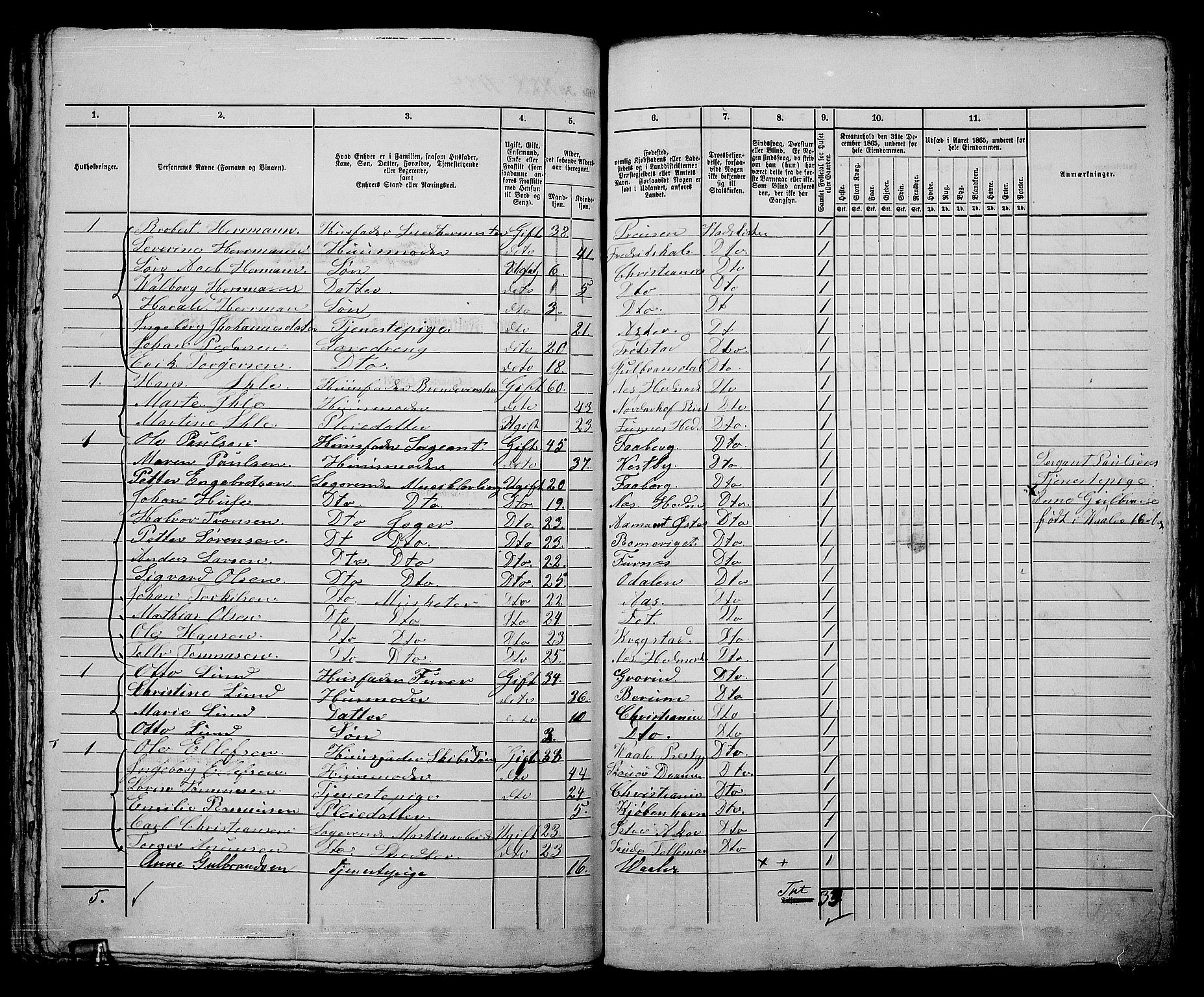 RA, 1865 census for Kristiania, 1865, p. 2663