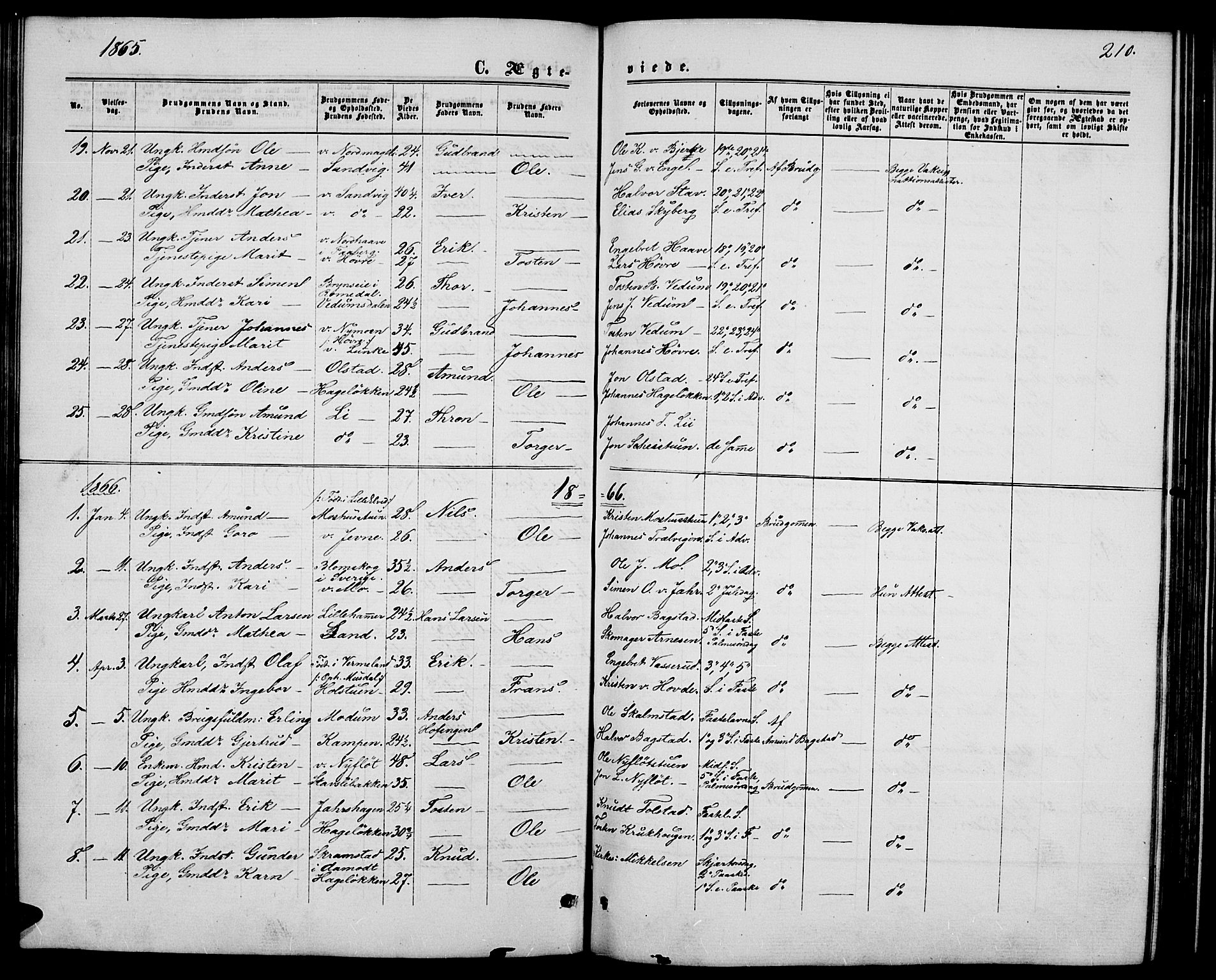 Øyer prestekontor, SAH/PREST-084/H/Ha/Hab/L0001: Parish register (copy) no. 1, 1863-1877, p. 210