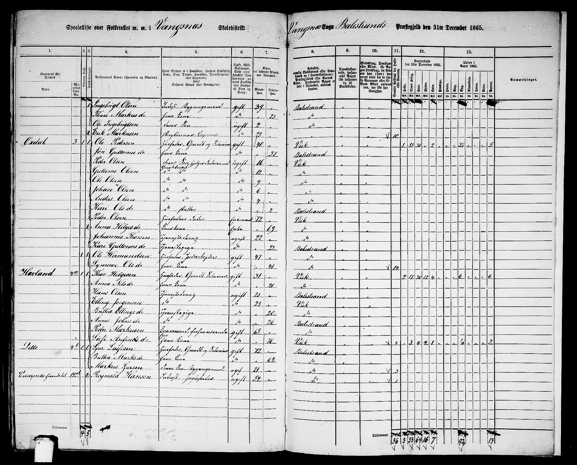 RA, 1865 census for Balestrand, 1865, p. 94