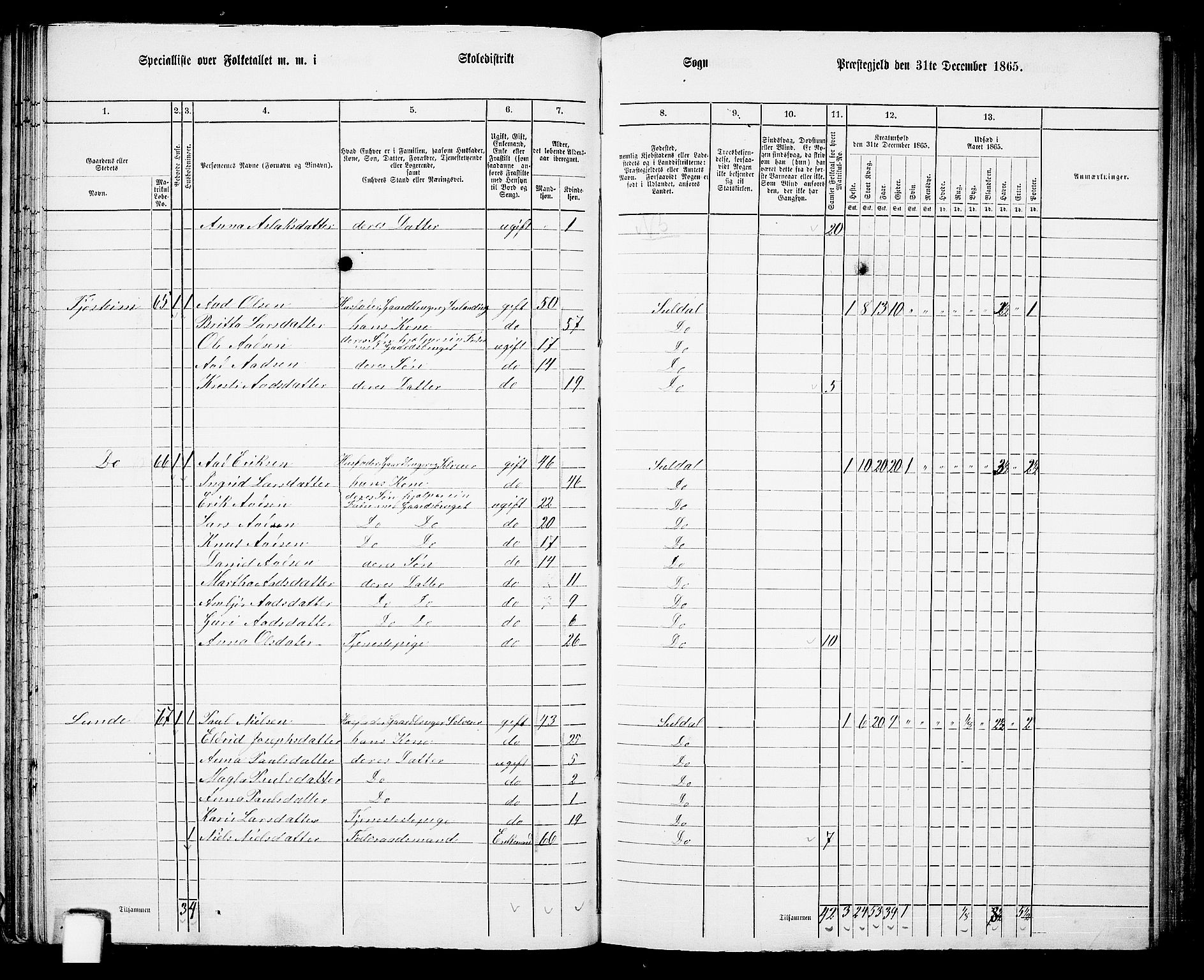 RA, 1865 census for Suldal, 1865, p. 50