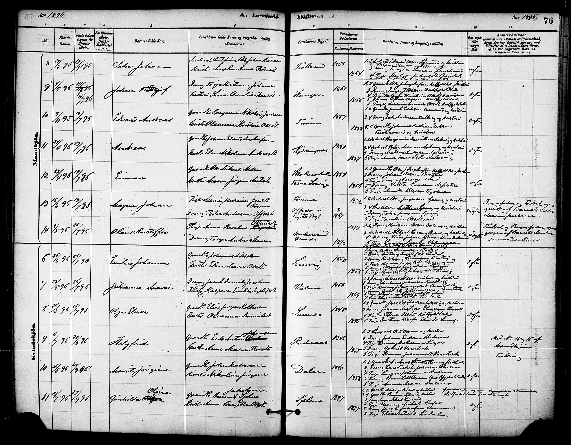 Ministerialprotokoller, klokkerbøker og fødselsregistre - Nordland, AV/SAT-A-1459/823/L0325: Parish register (official) no. 823A02, 1878-1898, p. 76