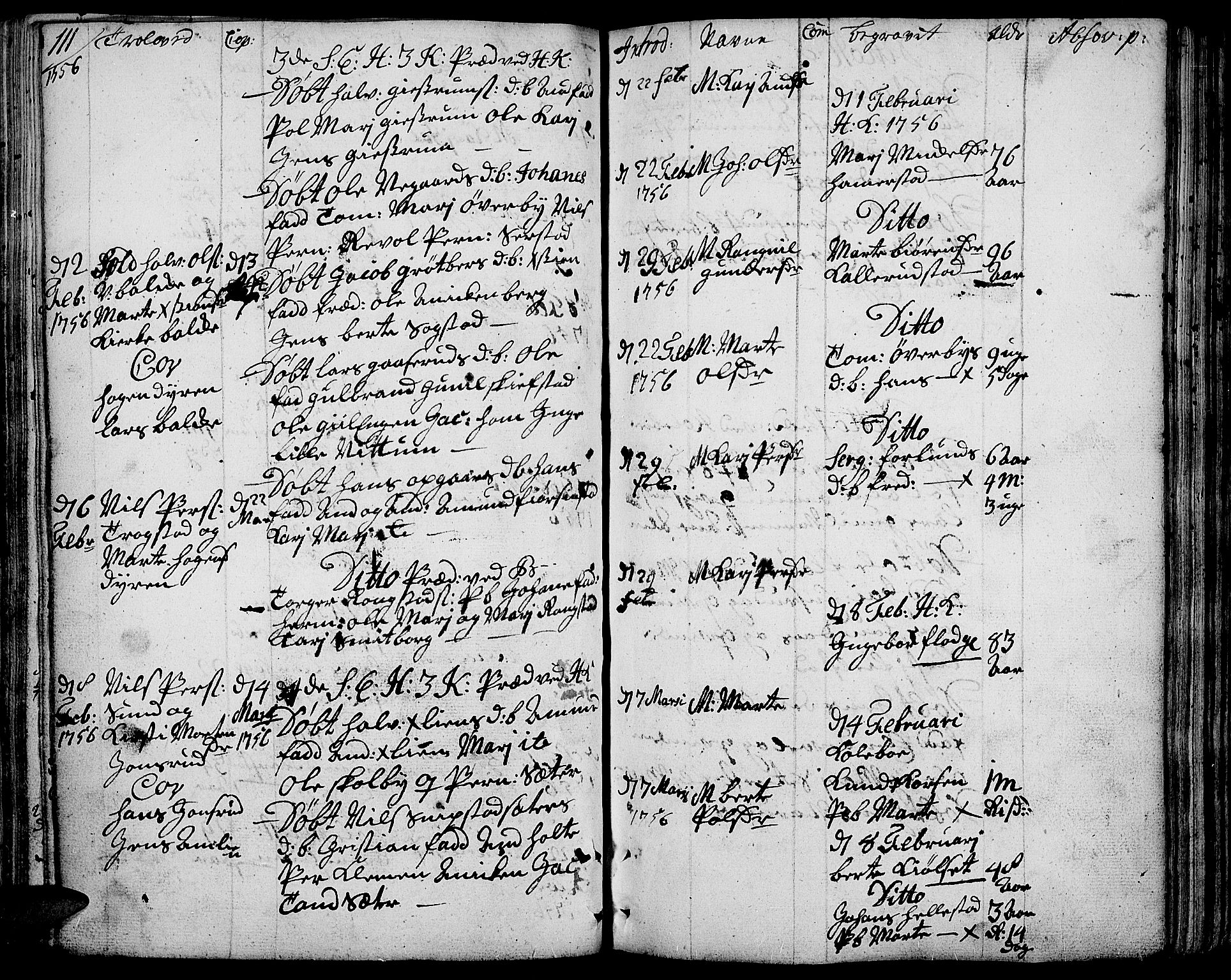 Toten prestekontor, SAH/PREST-102/H/Ha/Haa/L0004: Parish register (official) no. 4, 1751-1761, p. 111