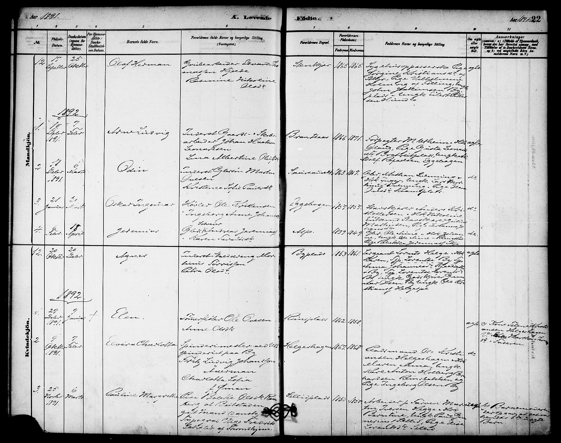 Ministerialprotokoller, klokkerbøker og fødselsregistre - Nord-Trøndelag, SAT/A-1458/740/L0378: Parish register (official) no. 740A01, 1881-1895, p. 22