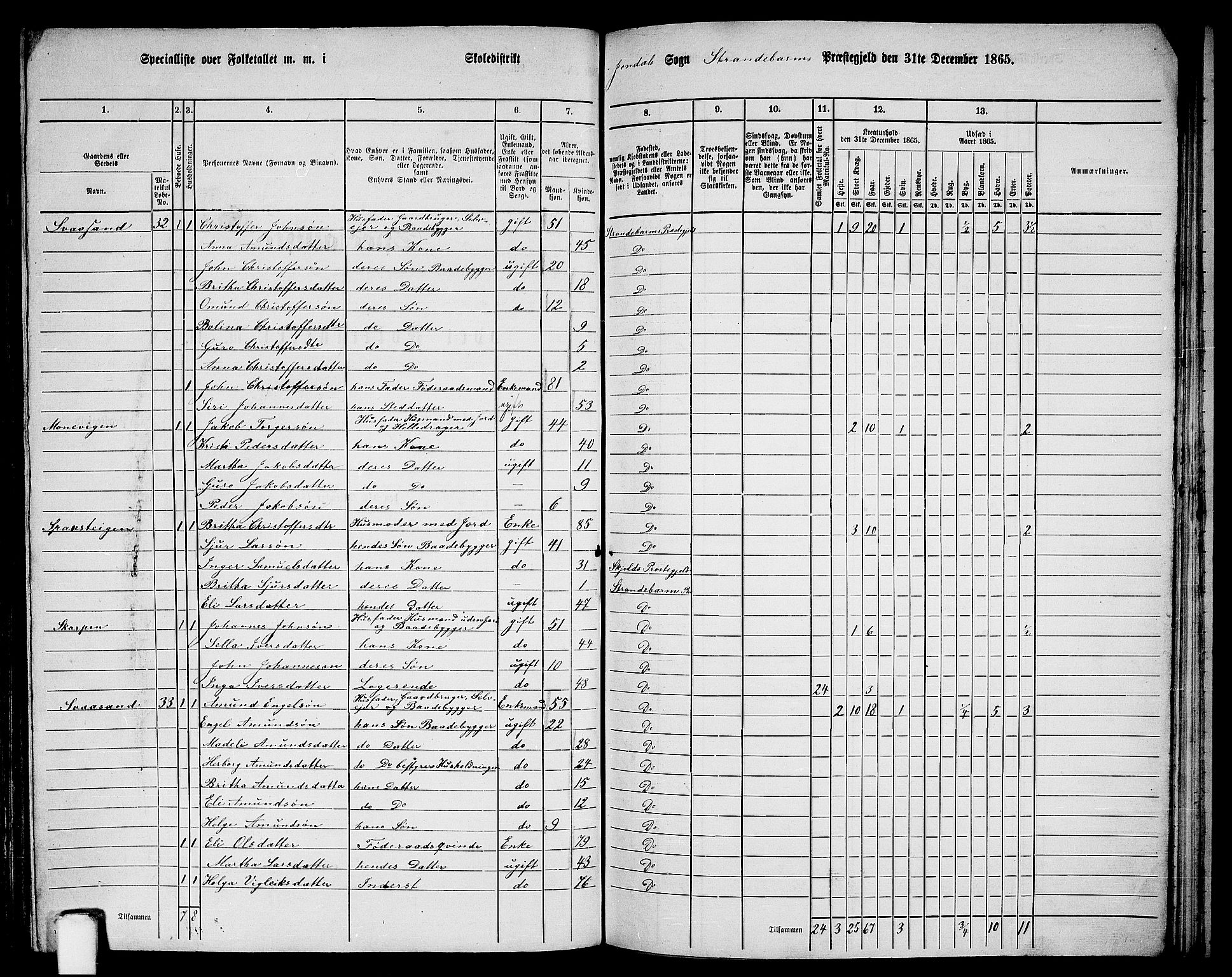 RA, 1865 census for Strandebarm, 1865, p. 157