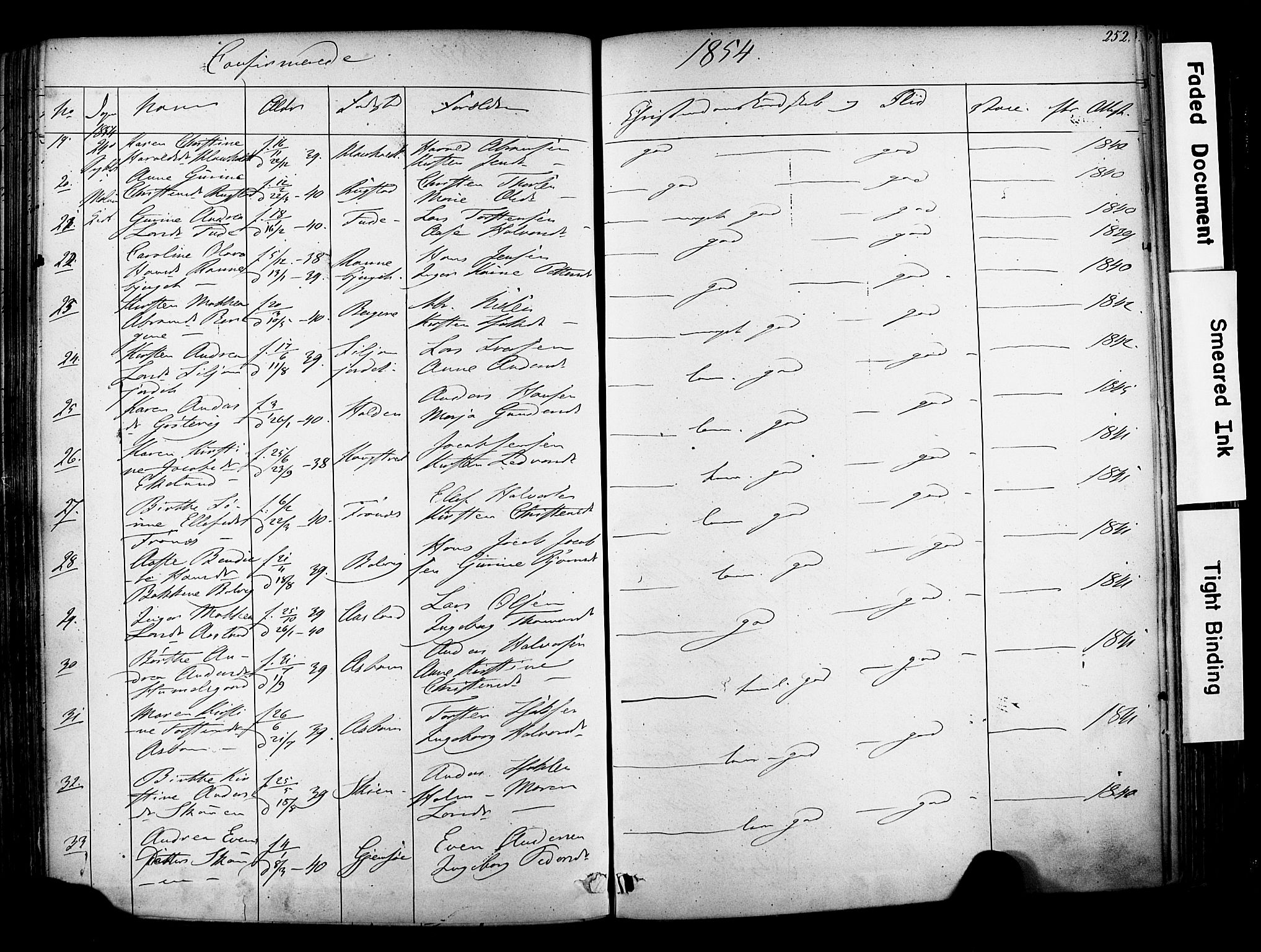 Solum kirkebøker, AV/SAKO-A-306/F/Fa/L0006: Parish register (official) no. I 6, 1844-1855, p. 252