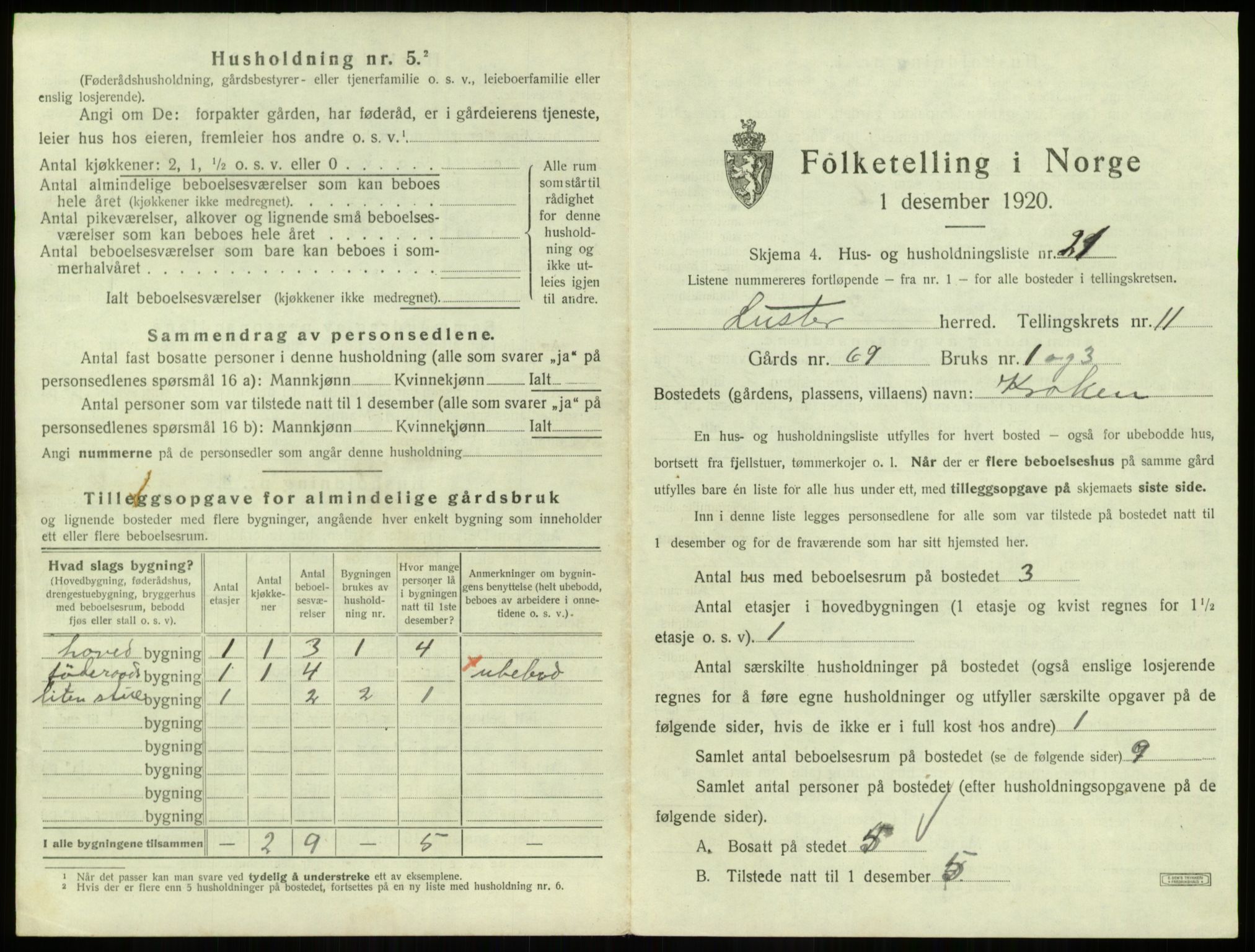 SAB, 1920 census for Luster, 1920, p. 1038