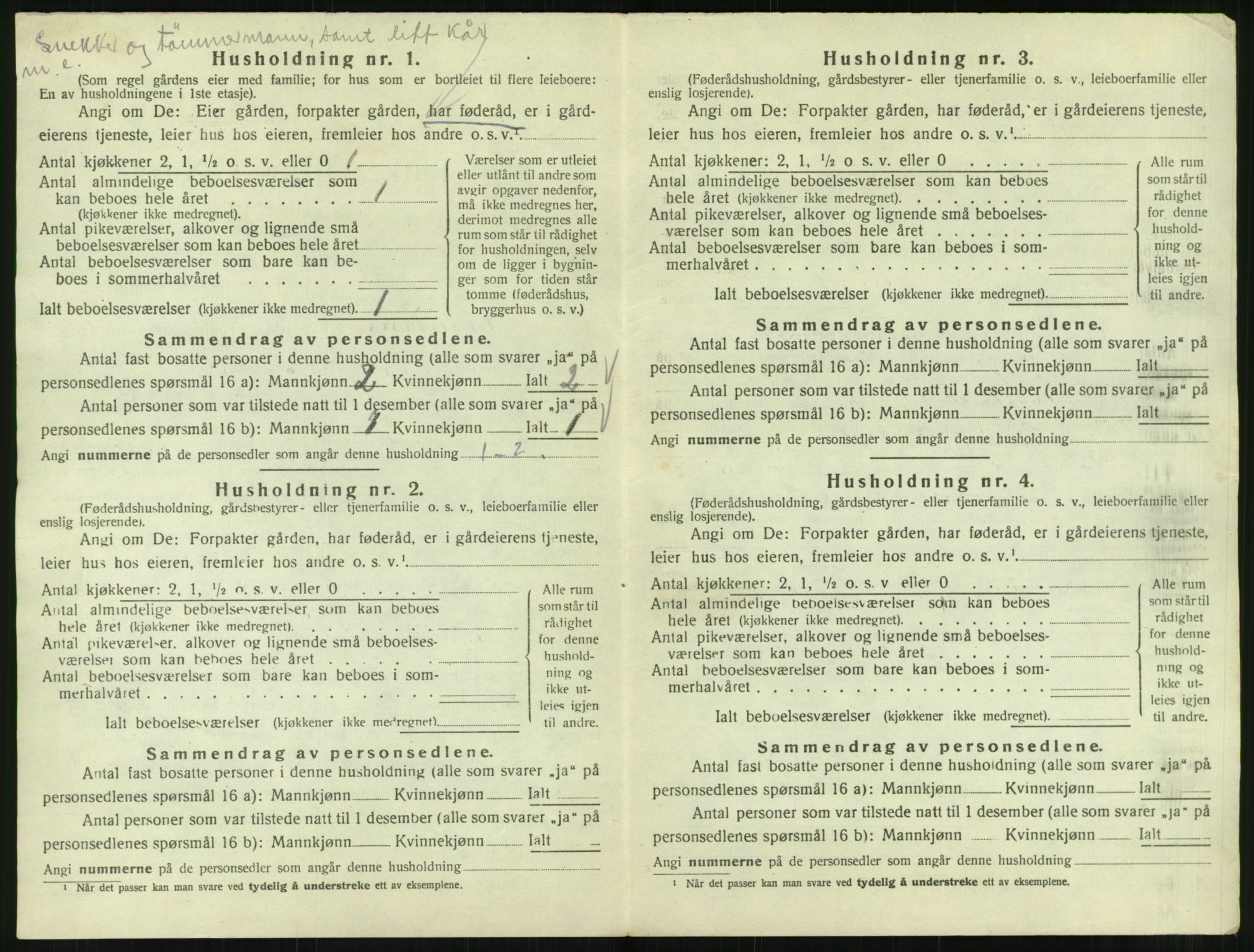 SAT, 1920 census for Ankenes, 1920, p. 1206