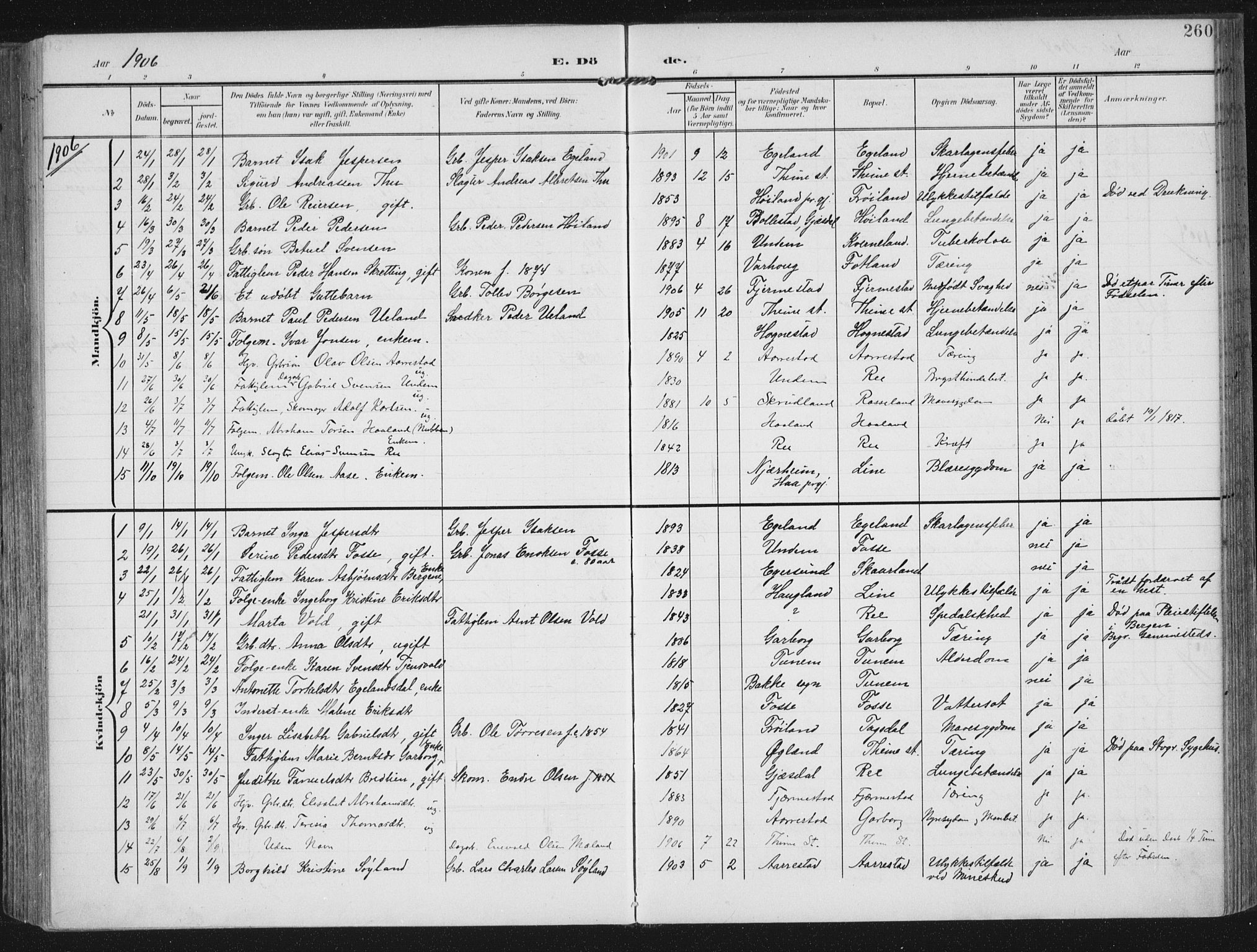 Lye sokneprestkontor, SAST/A-101794/002/A/L0001: Parish register (official) no. A 12, 1904-1920, p. 260