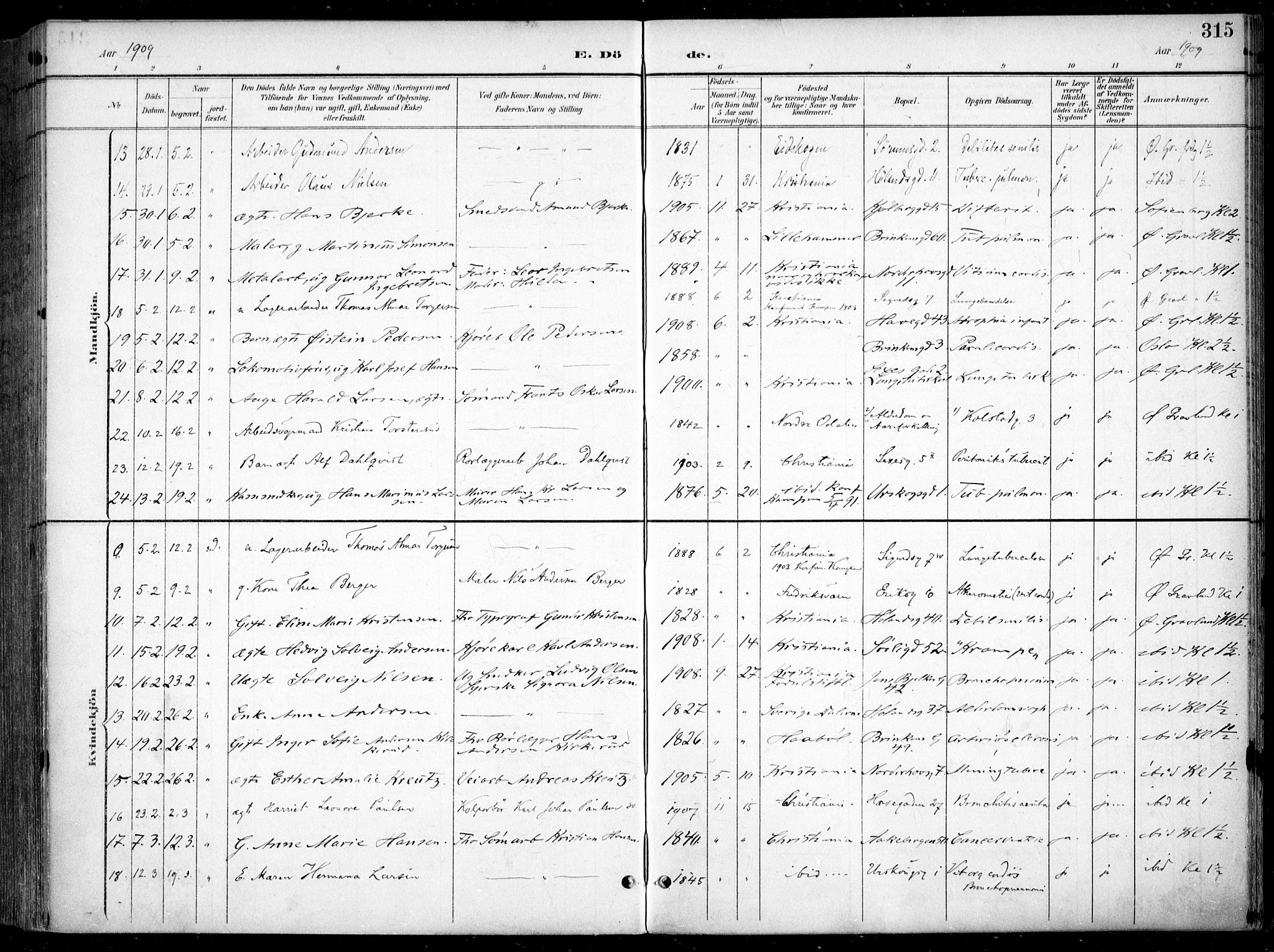 Kampen prestekontor Kirkebøker, AV/SAO-A-10853/F/Fa/L0009: Parish register (official) no. I 9, 1899-1911, p. 315