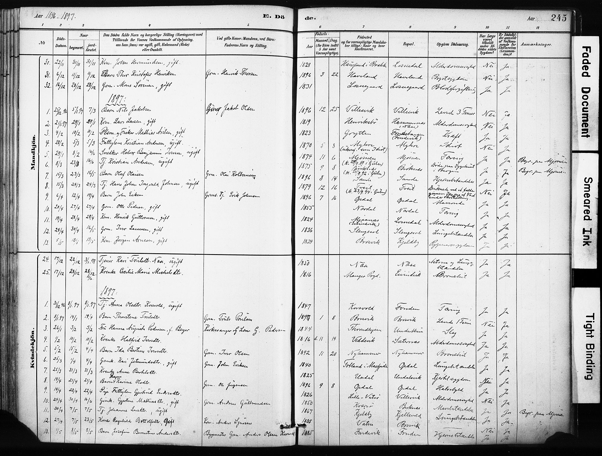 Gulen sokneprestembete, SAB/A-80201/H/Haa/Haab/L0001: Parish register (official) no. B 1, 1881-1905, p. 245