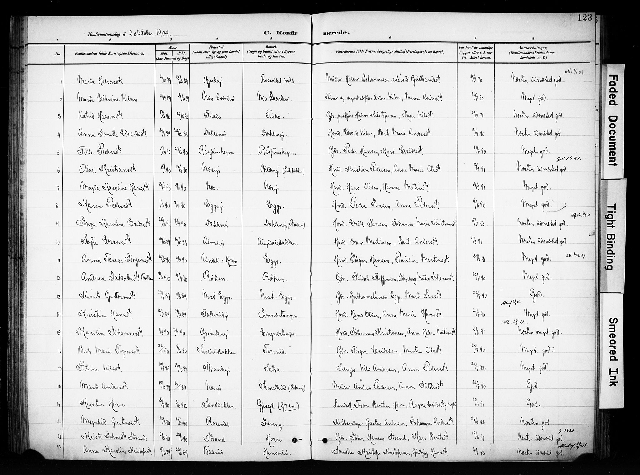 Brandbu prestekontor, SAH/PREST-114/H/Ha/Haa/L0001: Parish register (official) no. 1, 1900-1912, p. 123