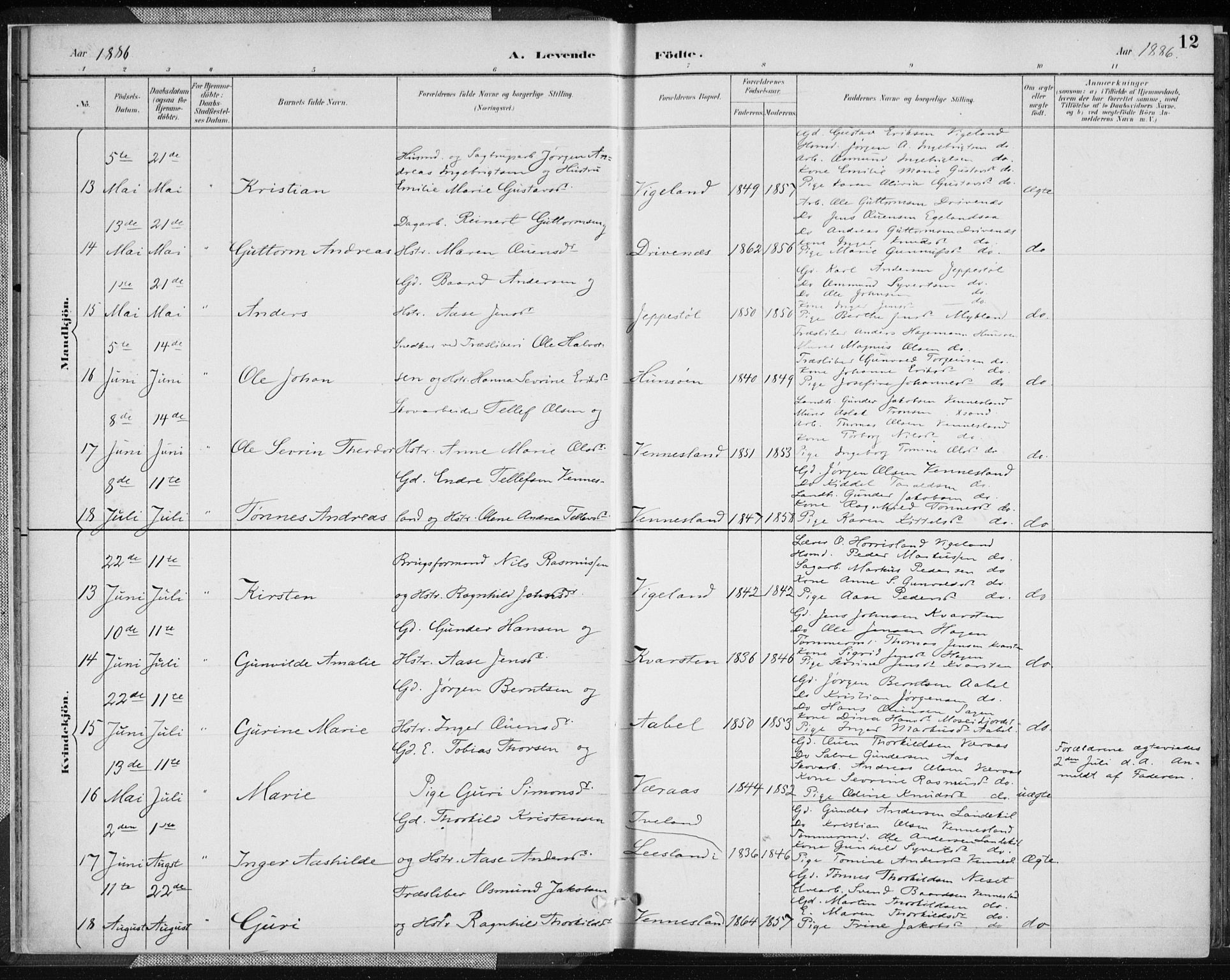 Vennesla sokneprestkontor, AV/SAK-1111-0045/Fa/Fab/L0004: Parish register (official) no. A 4, 1884-1896, p. 12